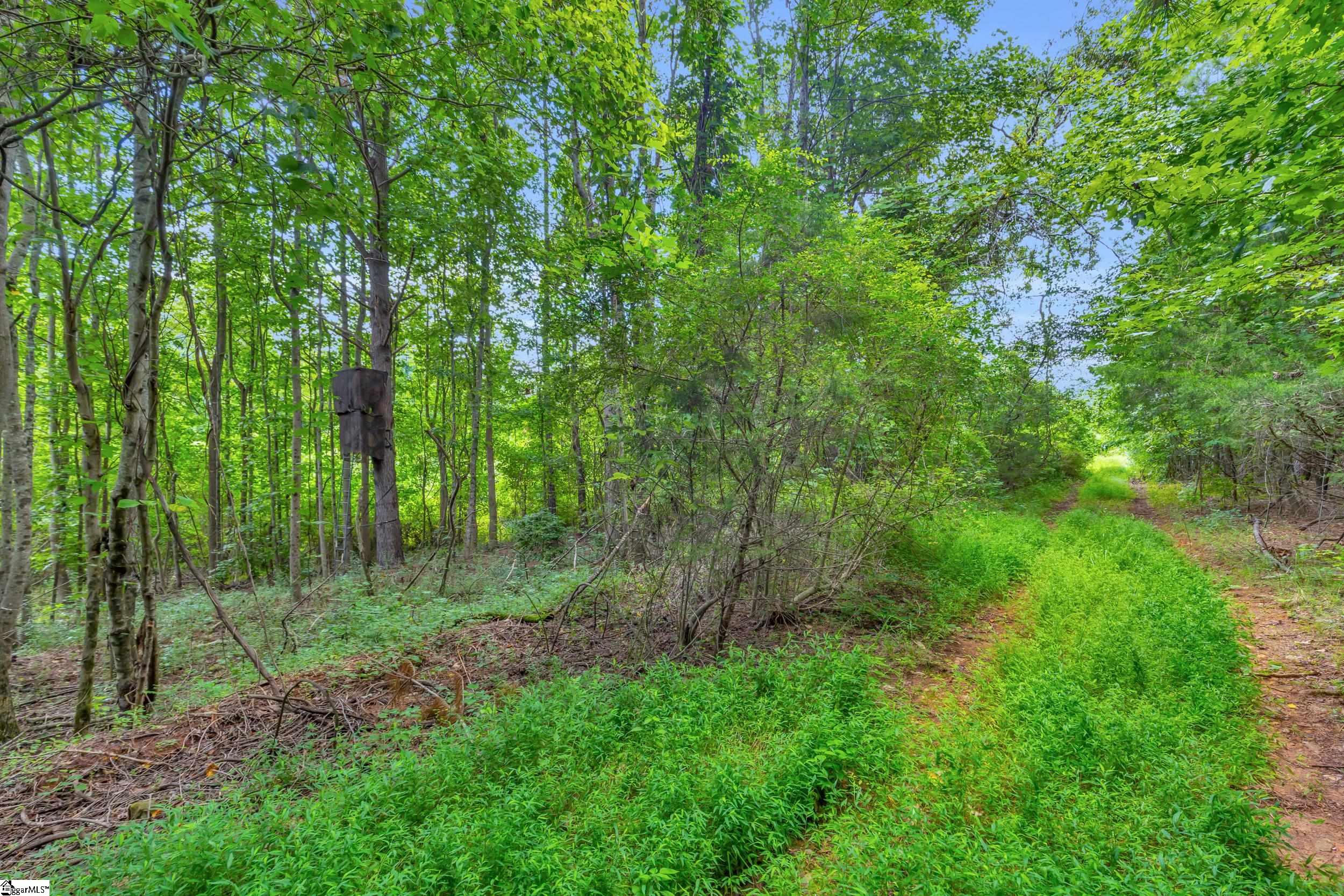 00 Old Norris Road Property Photo 3