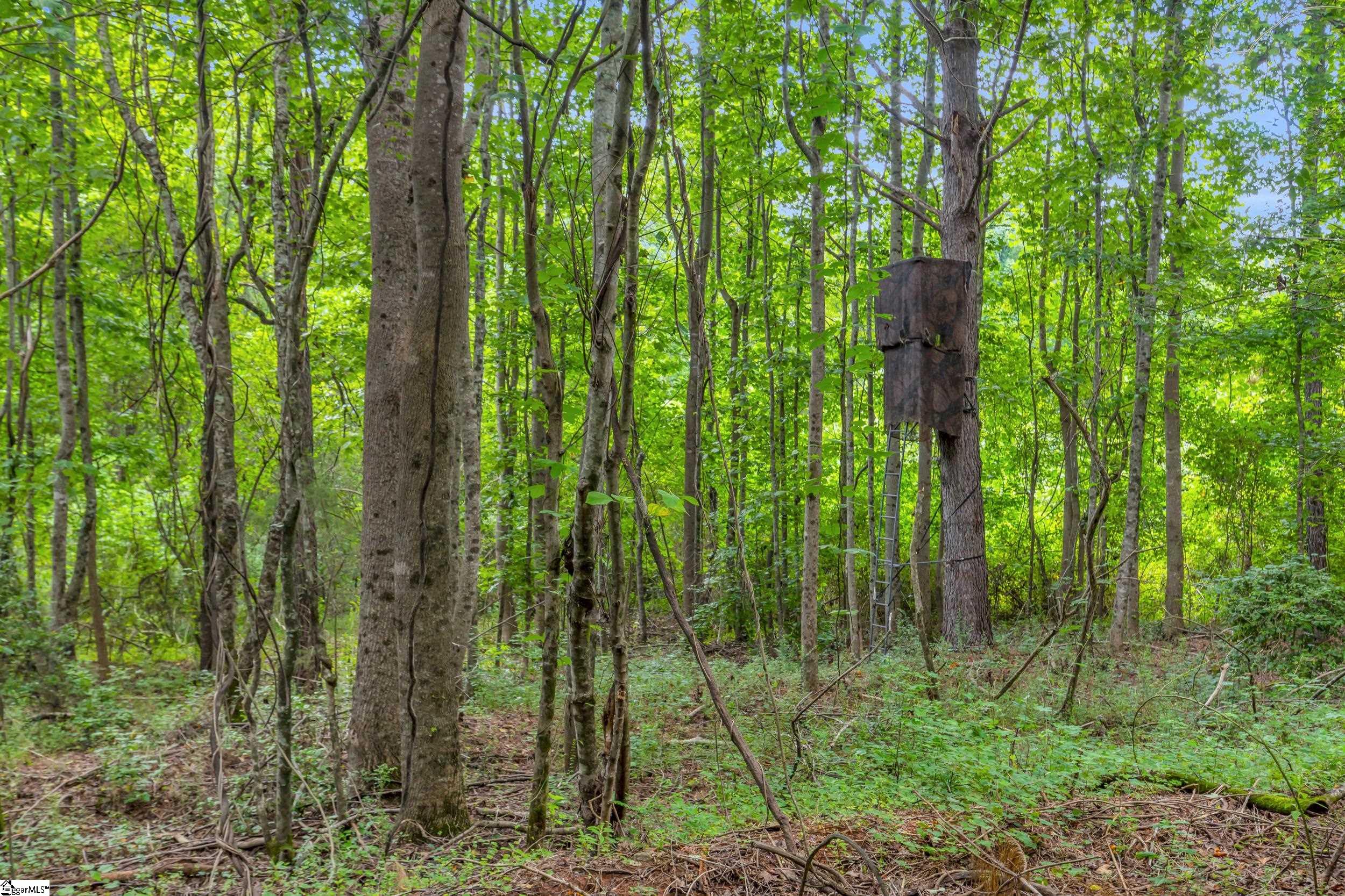 00 Old Norris Road Property Photo 4