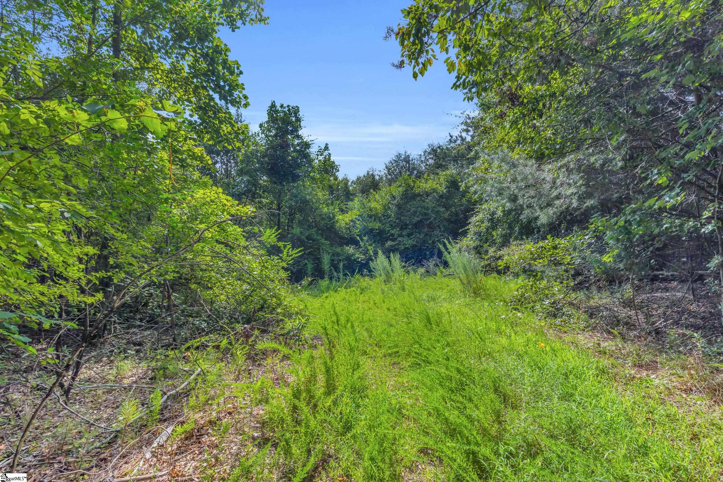 00 Old Norris Road Property Photo 5