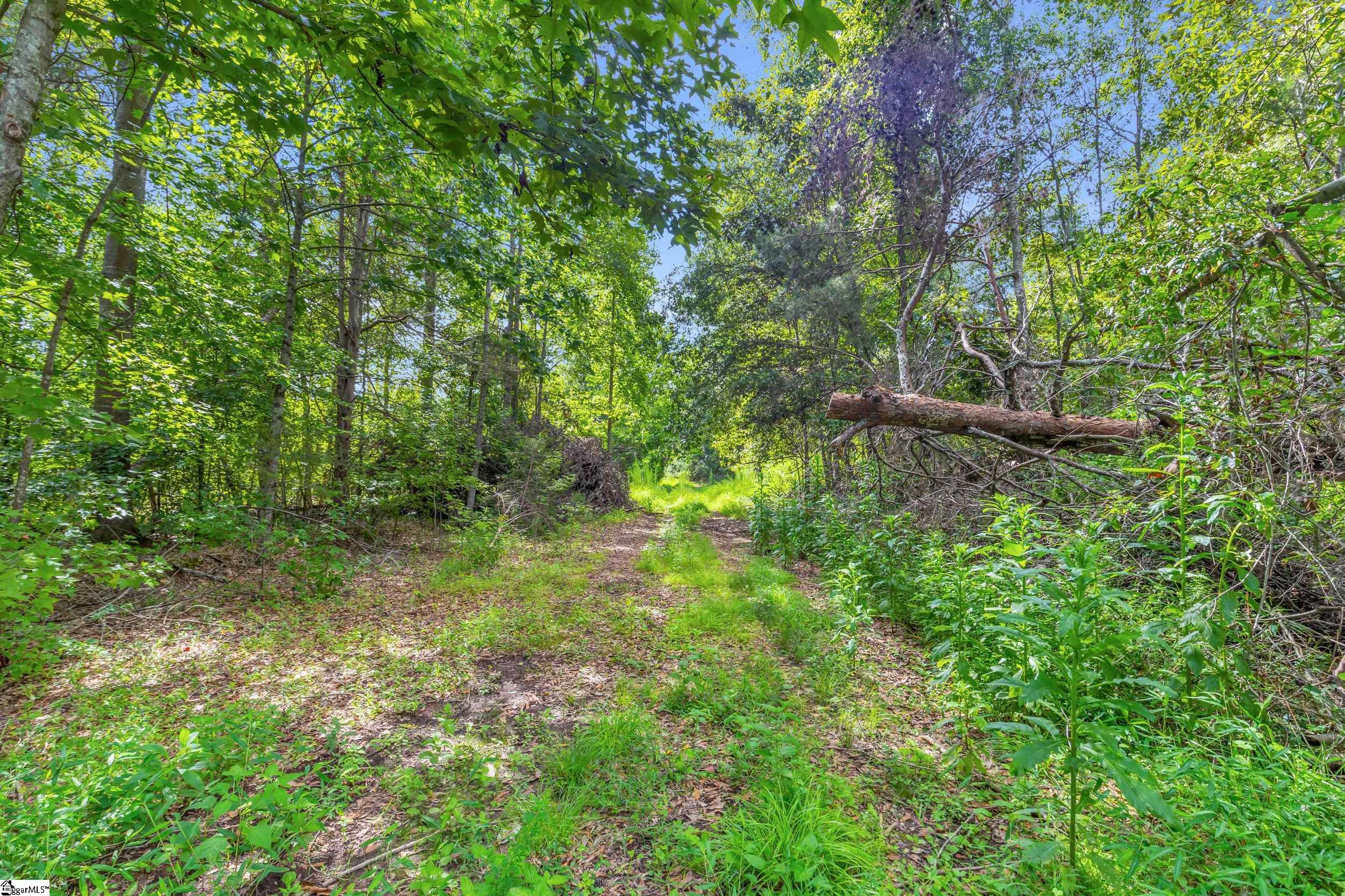 00 Old Norris Road Property Photo 9