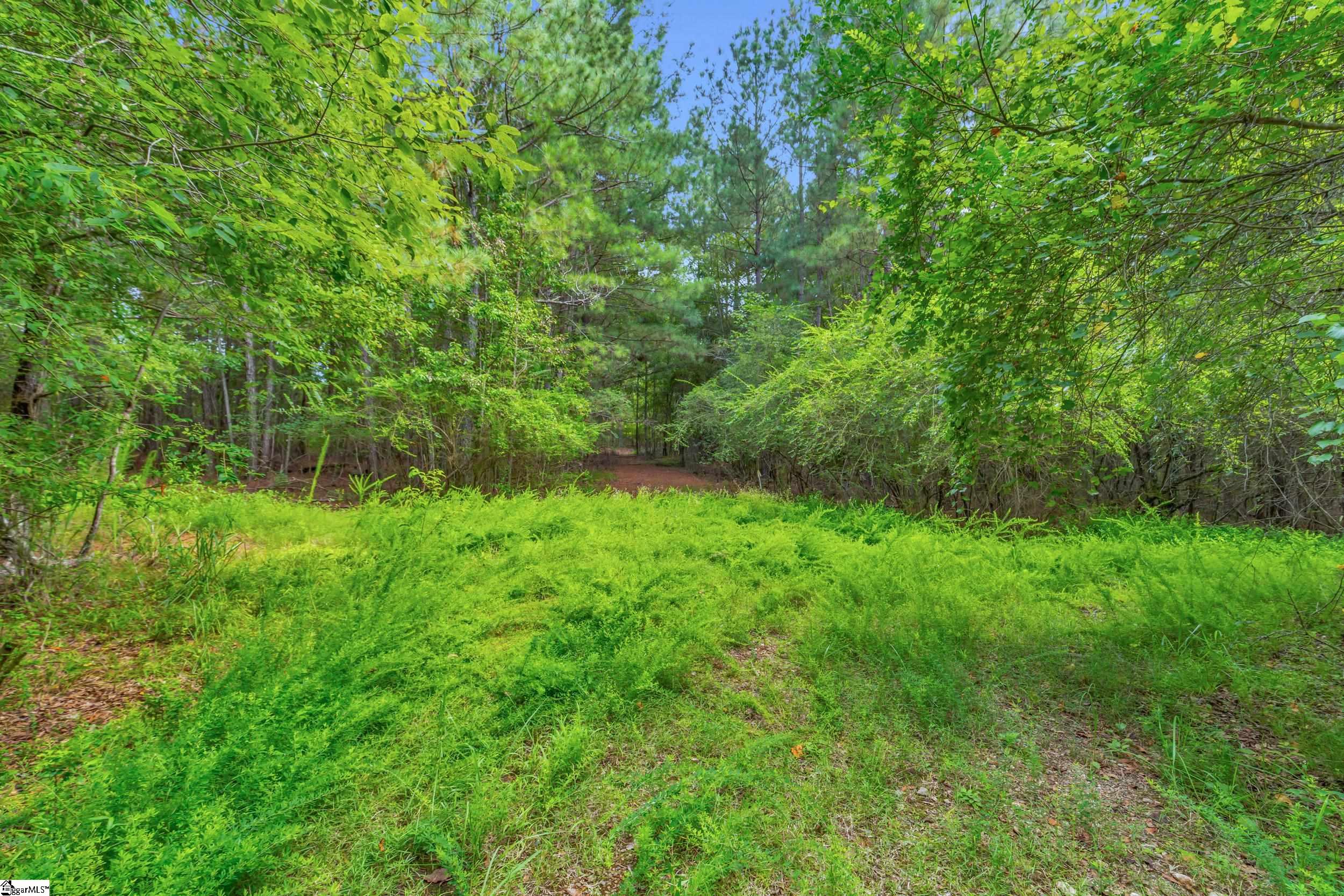 00 Old Norris Road Property Photo 10