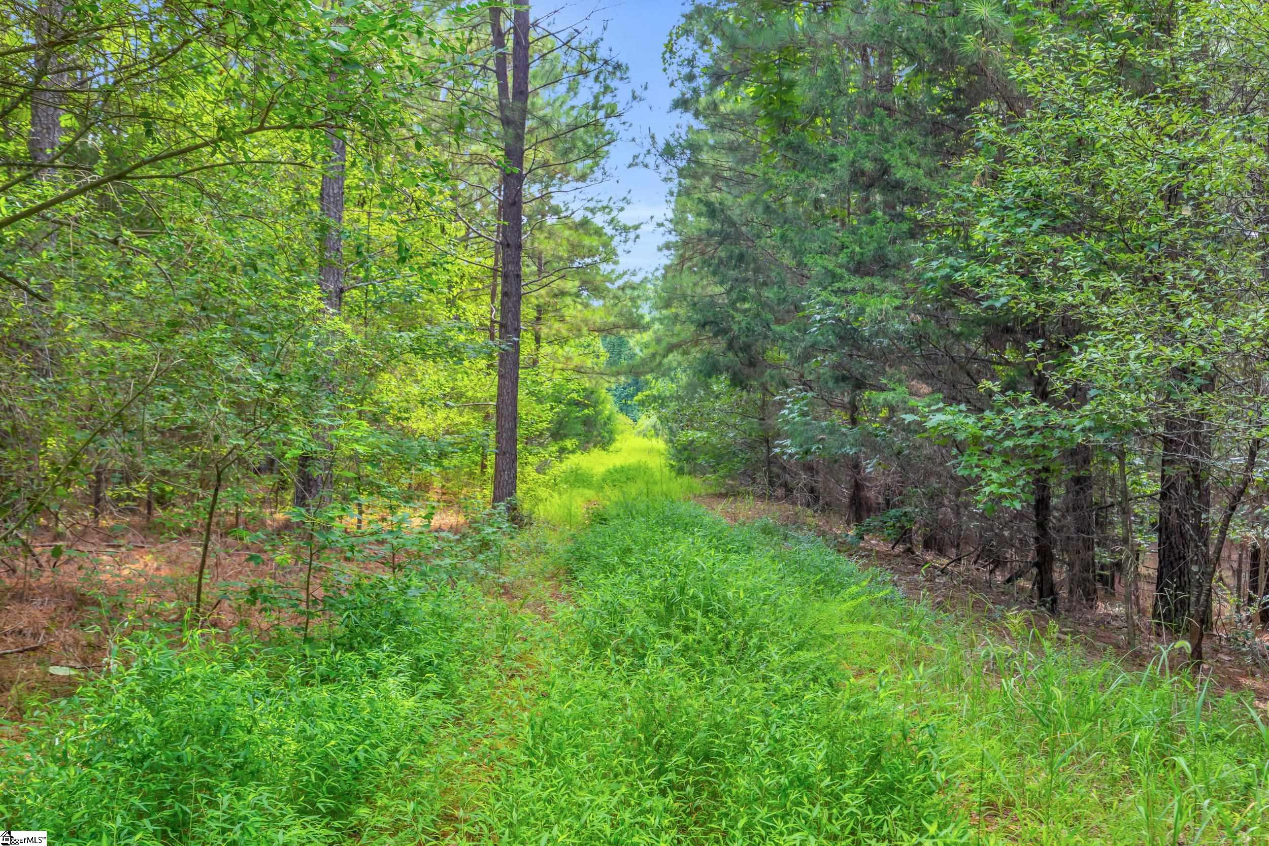 00 Old Norris Road Property Photo 12