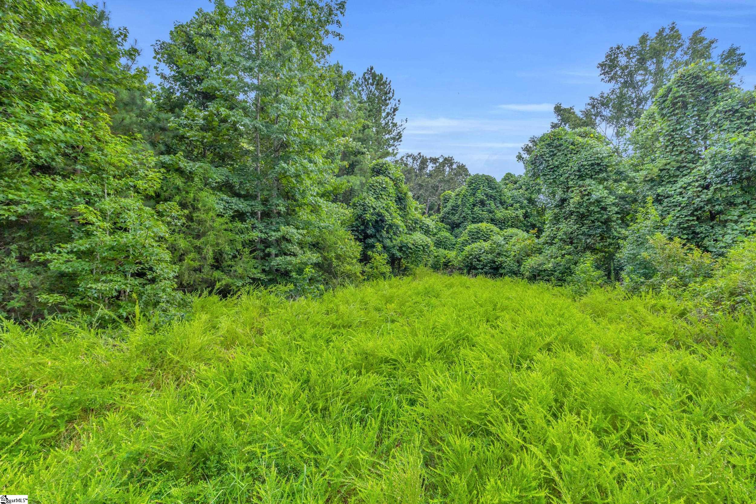 00 Old Norris Road Property Photo 14