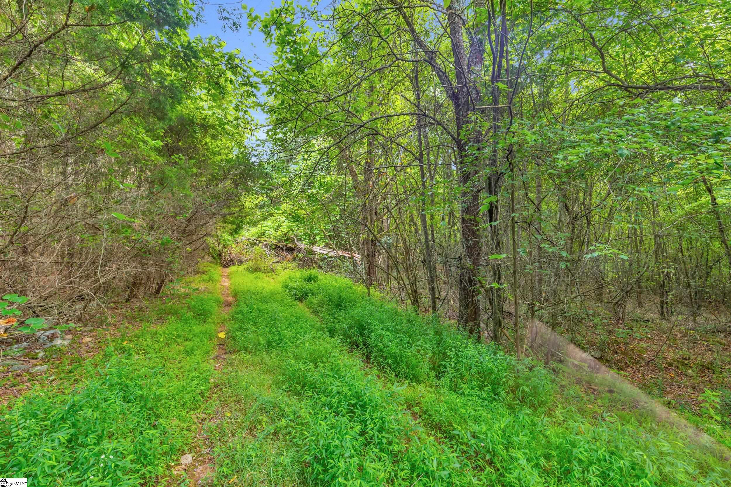 00 Old Norris Road Property Photo 17