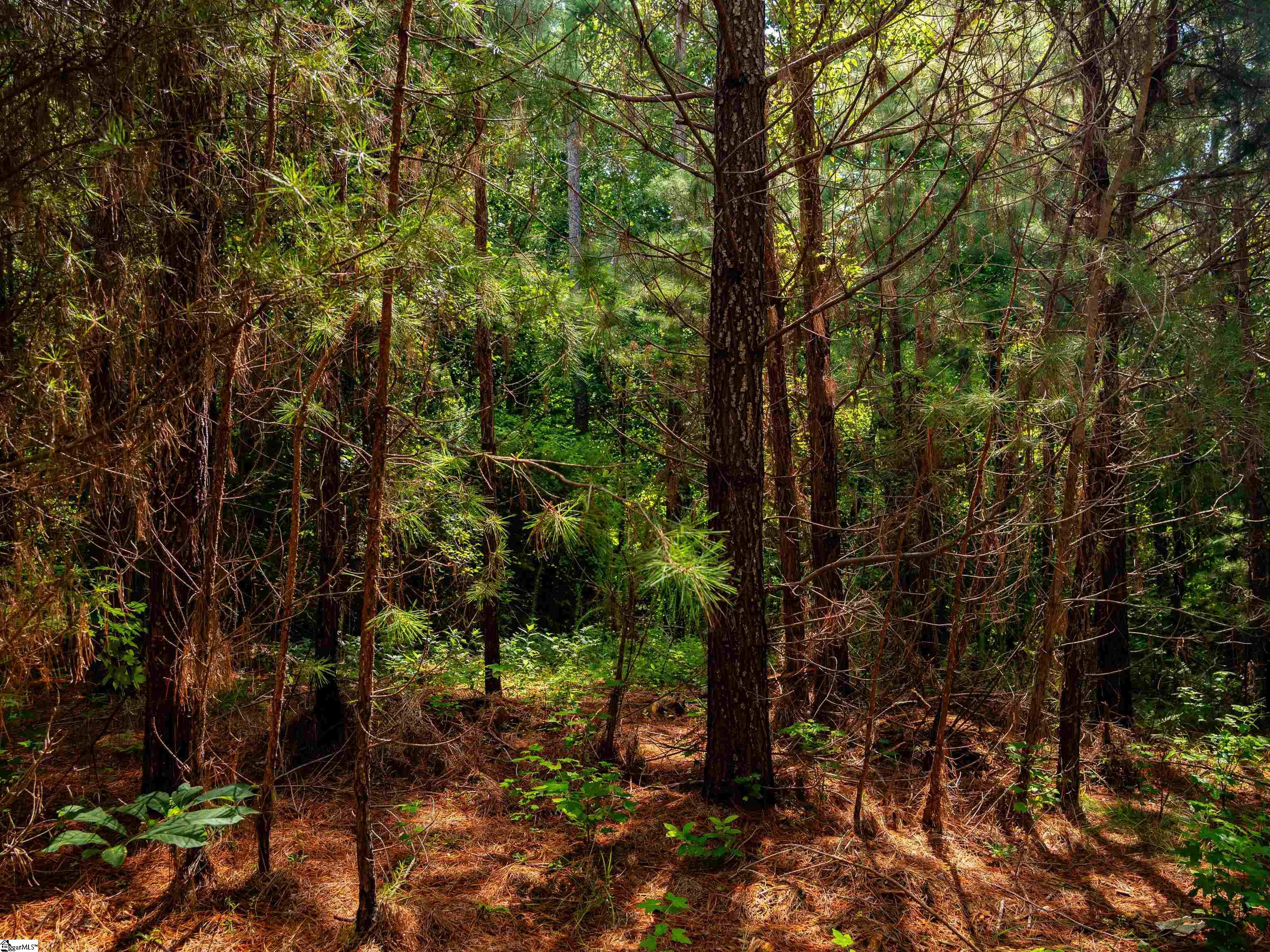 01 Bayshore Drive Property Photo 3