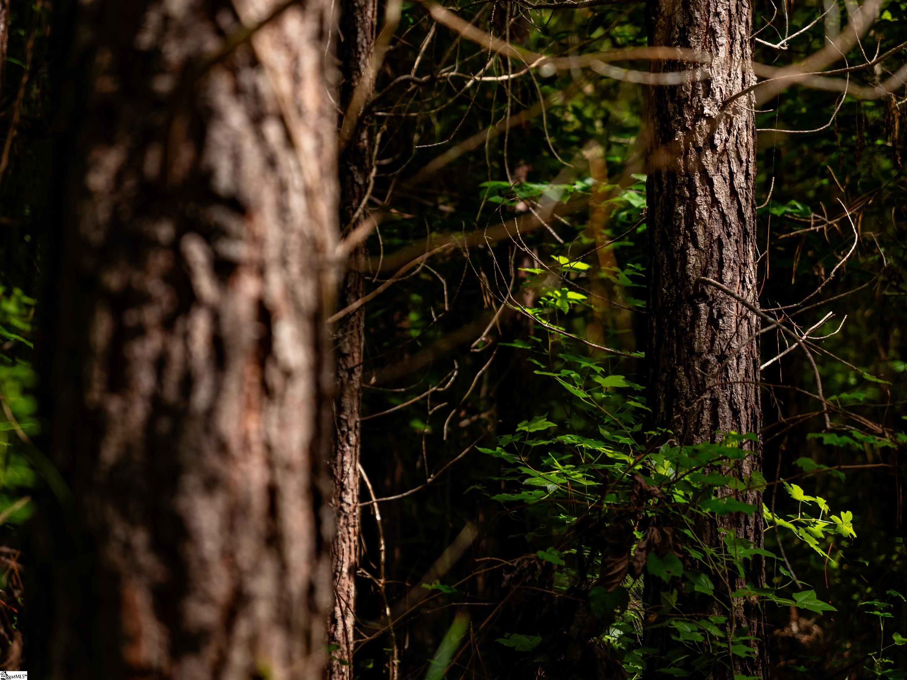 01 Bayshore Drive Property Photo 4