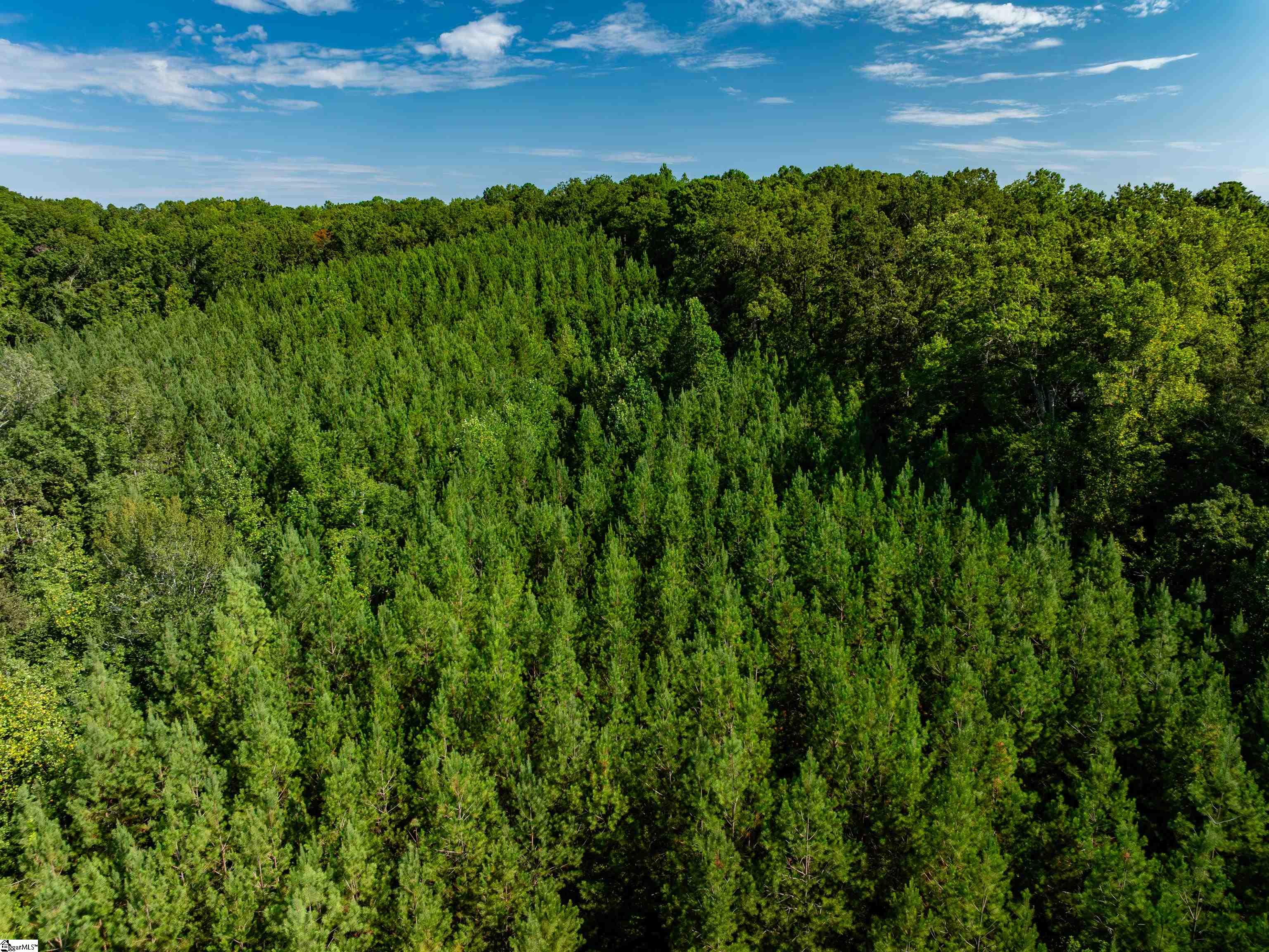 01 Bayshore Drive Property Photo 15