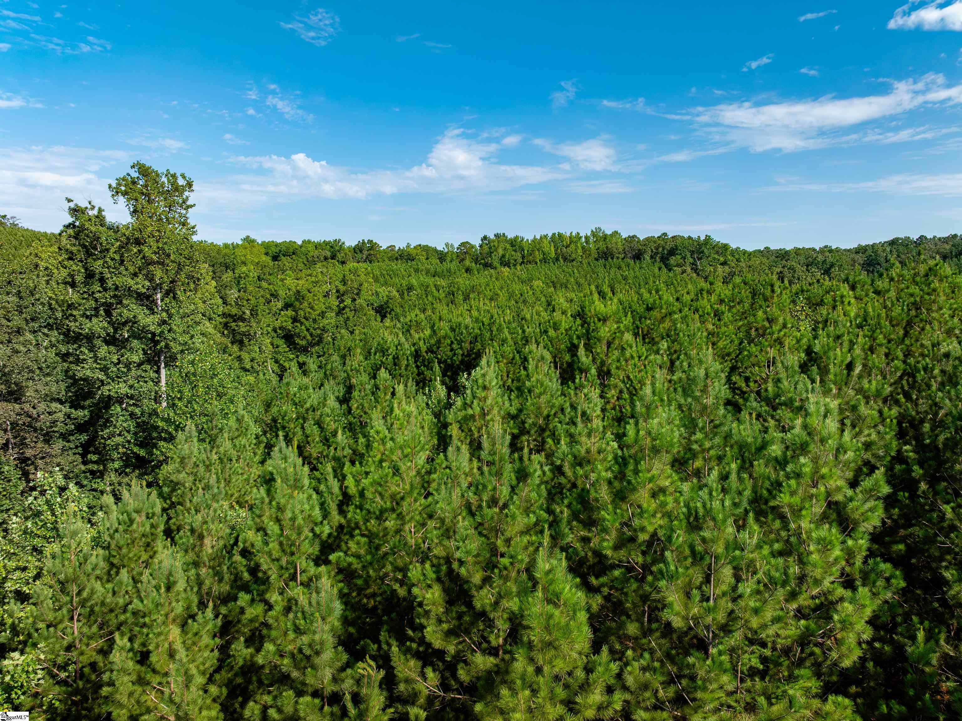 03 Bayshore Drive Property Photo 21