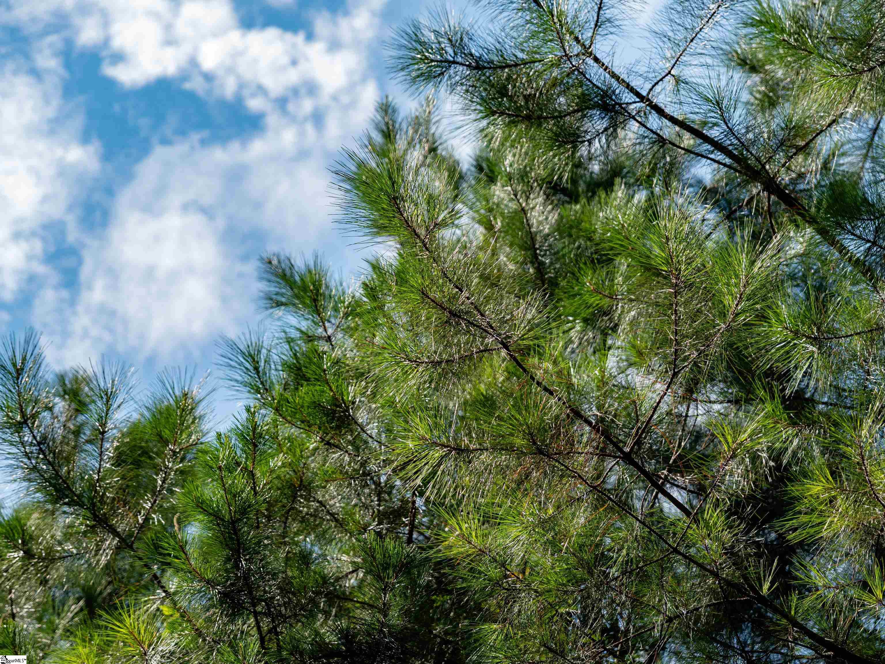 03 Bayshore Drive Property Photo 34