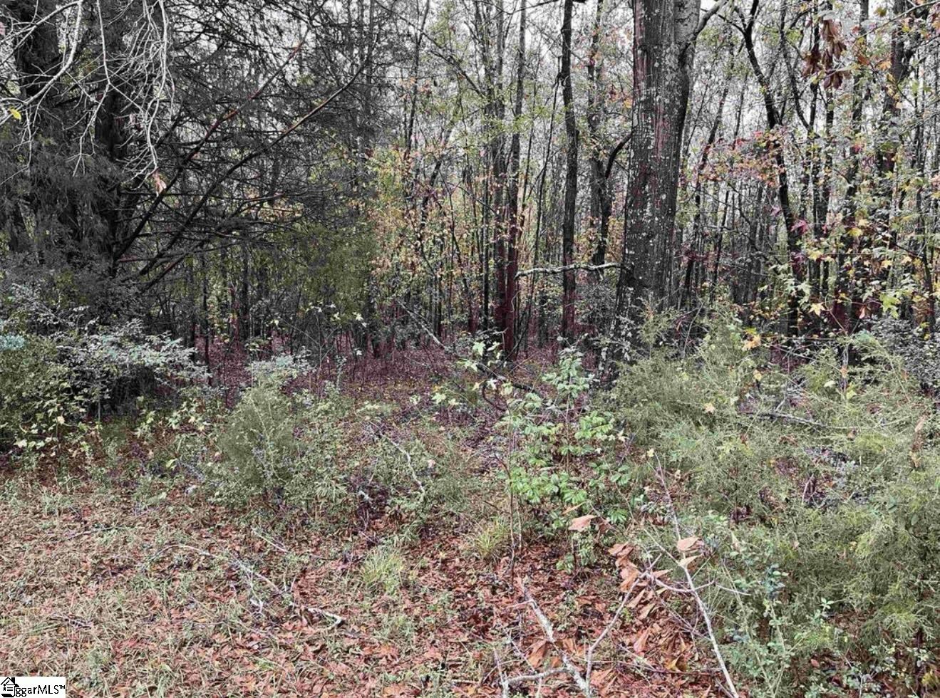 01 Evergreen Church Road Property Photo 3