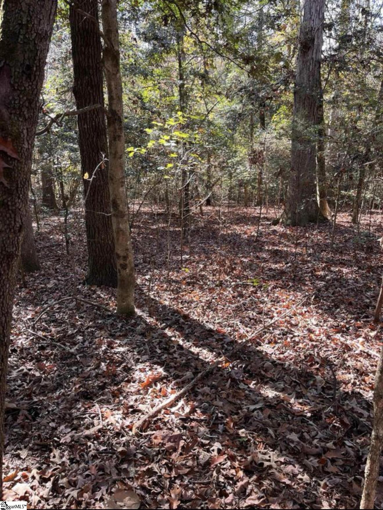 01 Evergreen Church Road Property Photo 4