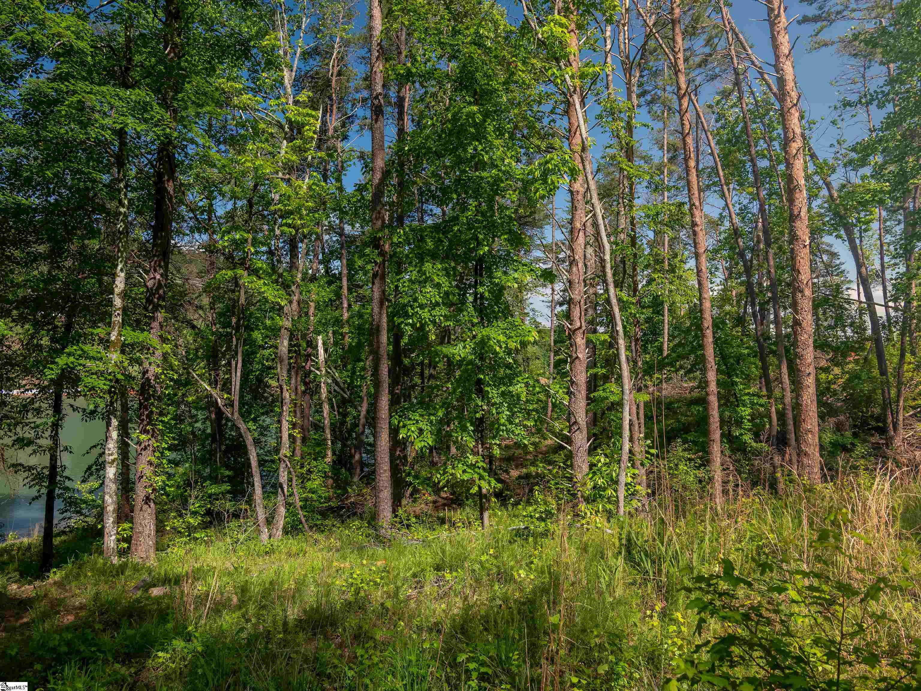 00 Old Keowee Church Road Property Photo 32