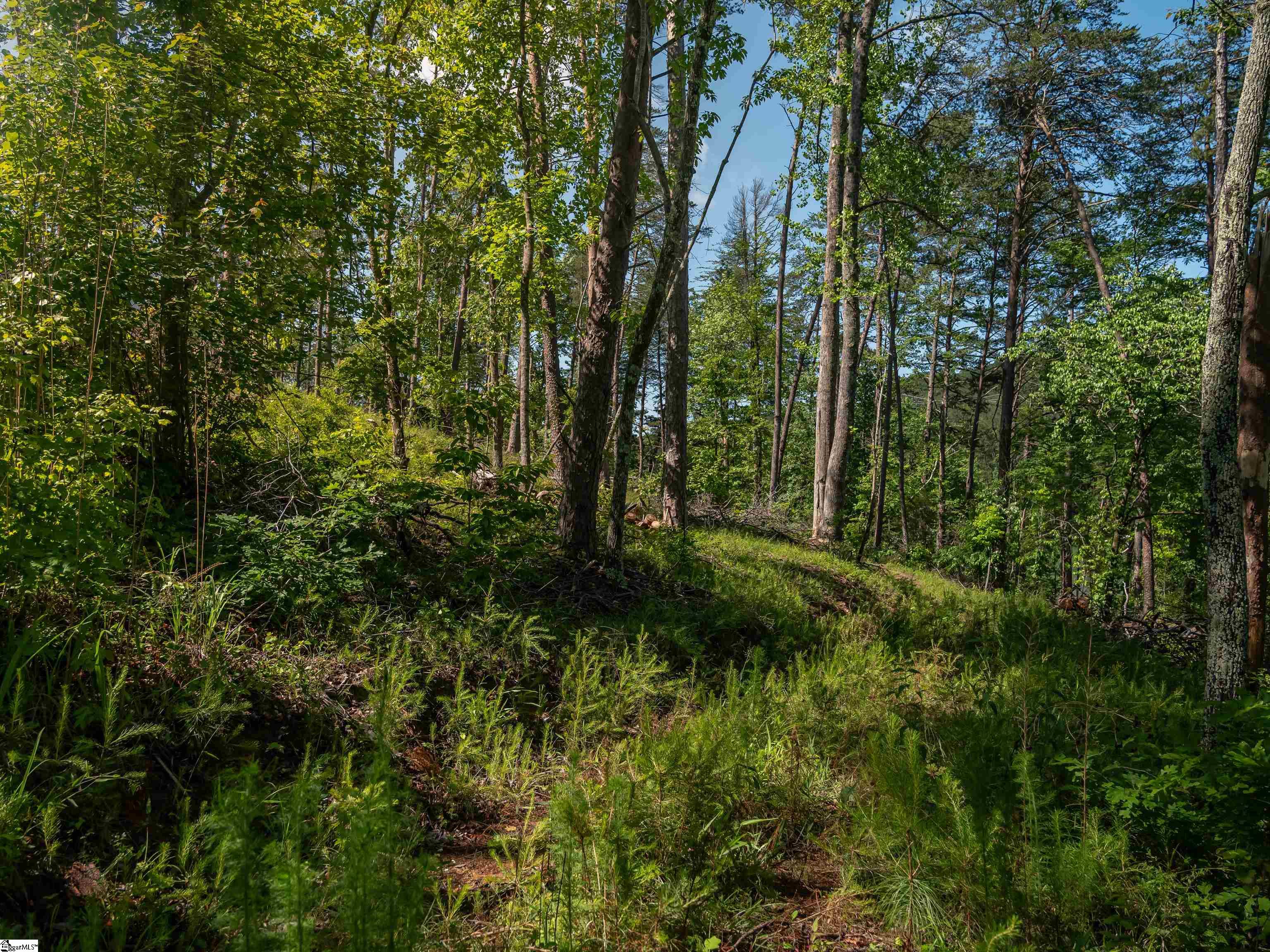 00 Old Keowee Church Road Property Photo 36