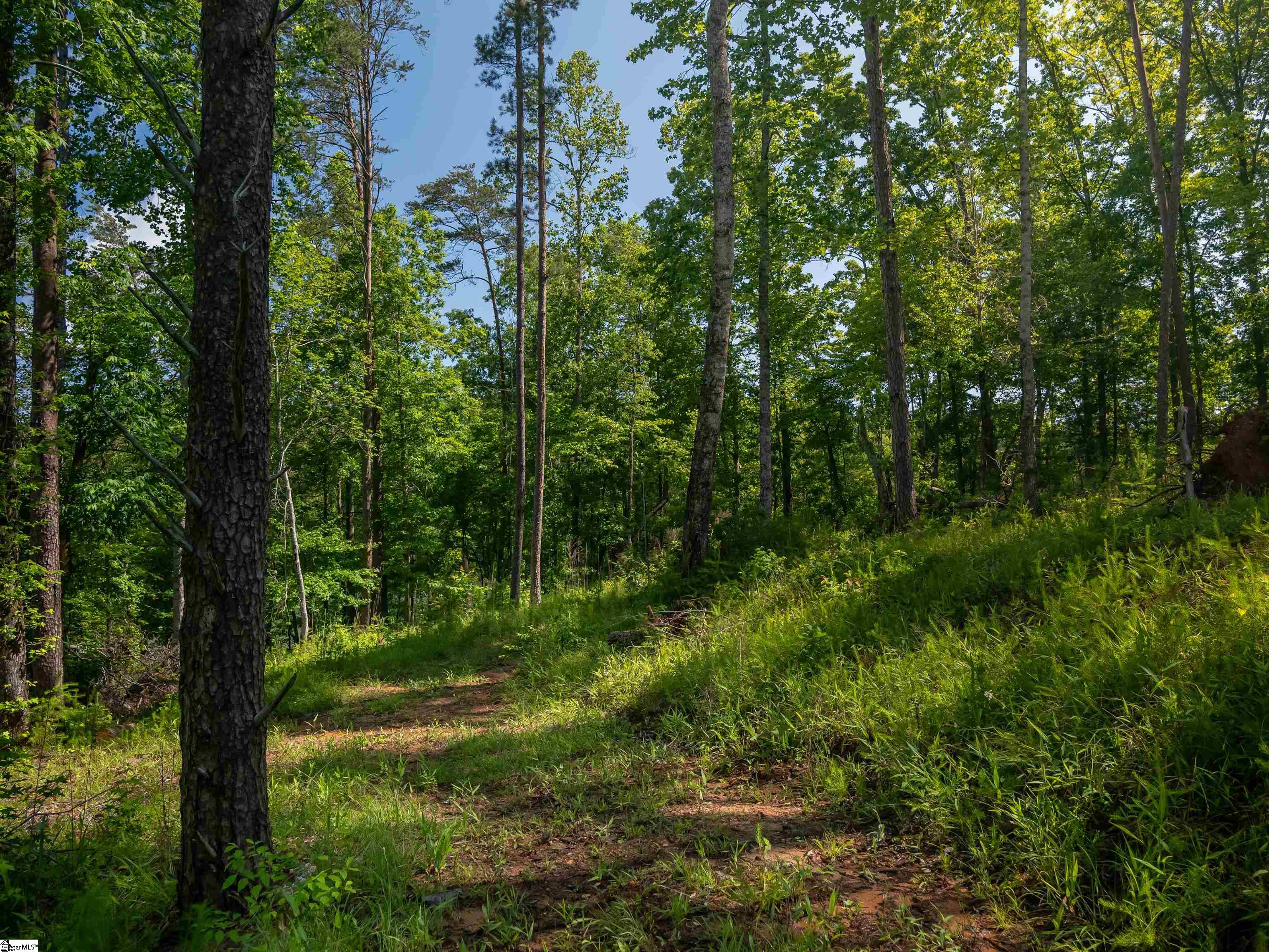 00 Old Keowee Church Road Property Photo 37