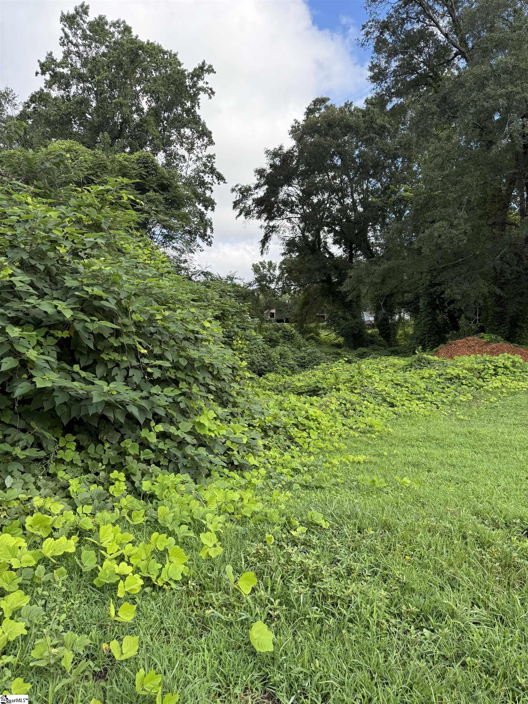 1650 Farley Avenue Property Photo 1