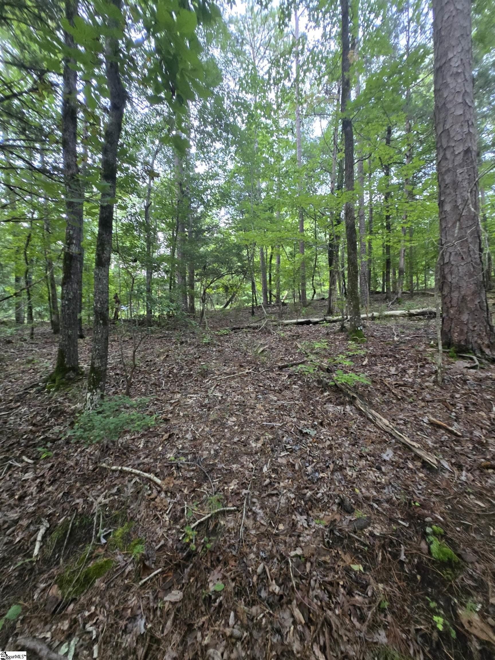 Dockside Drive Property Photo 3