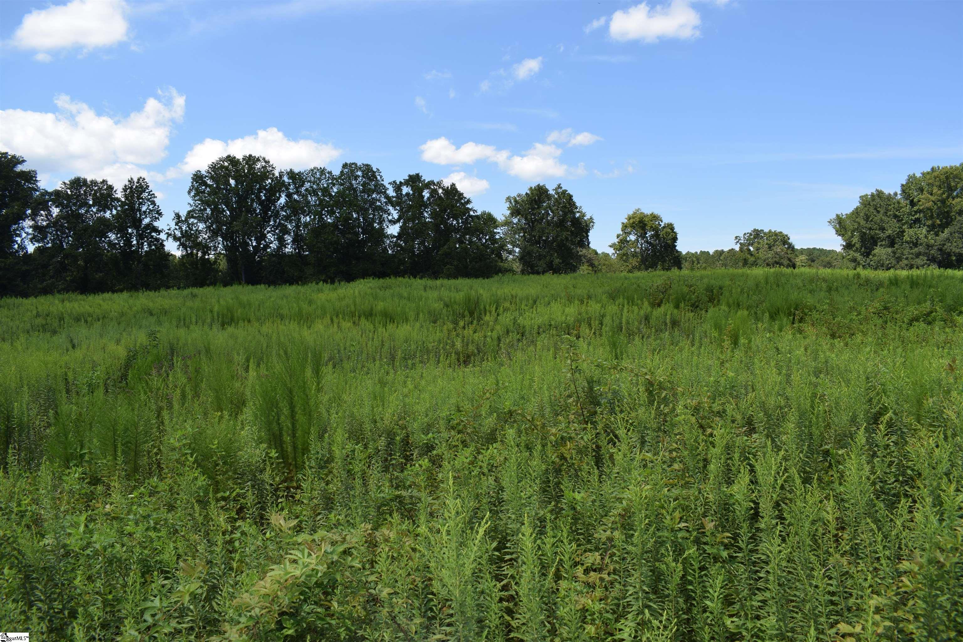 8141 Highway 357 Property Photo 1