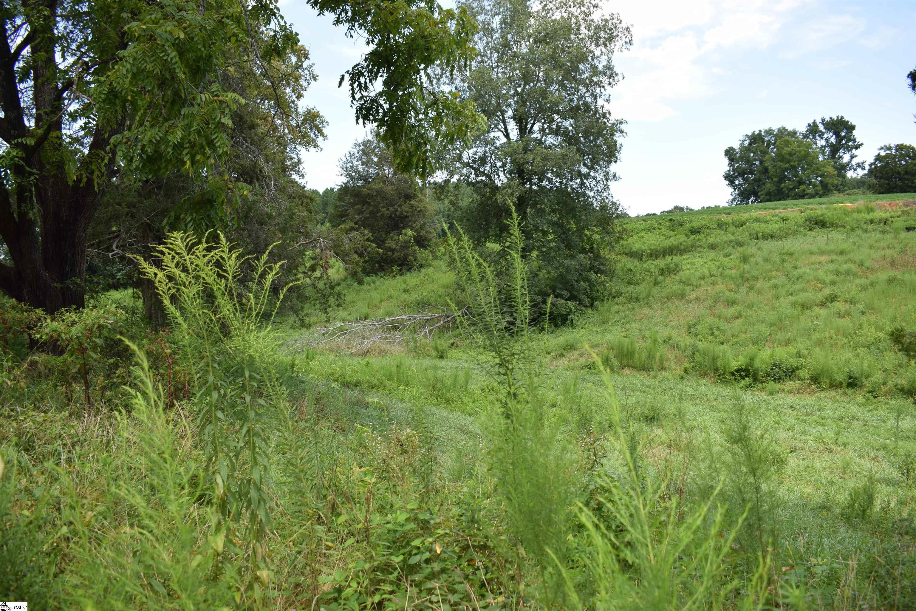 8141 Highway 357 Property Photo 5