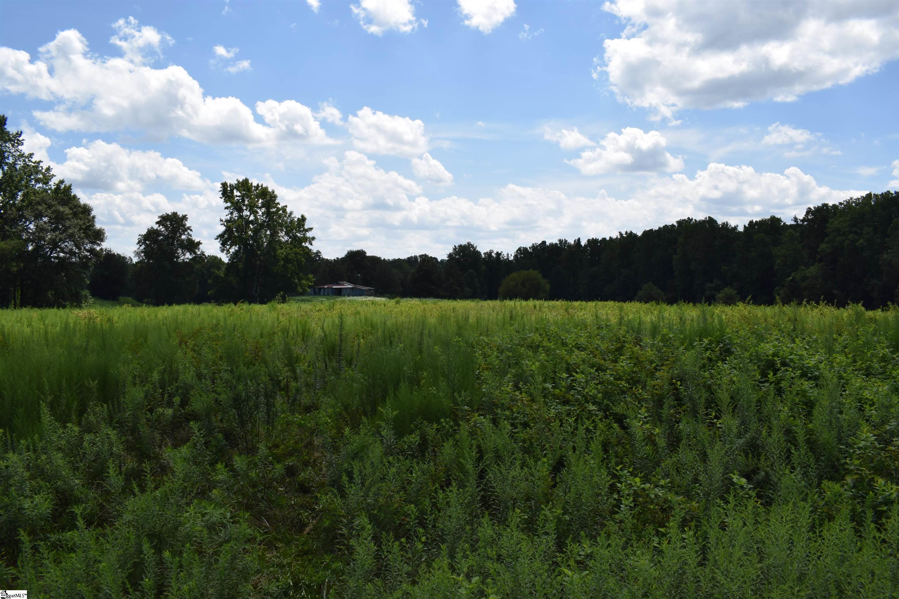 8141 Highway 357 Property Photo 6