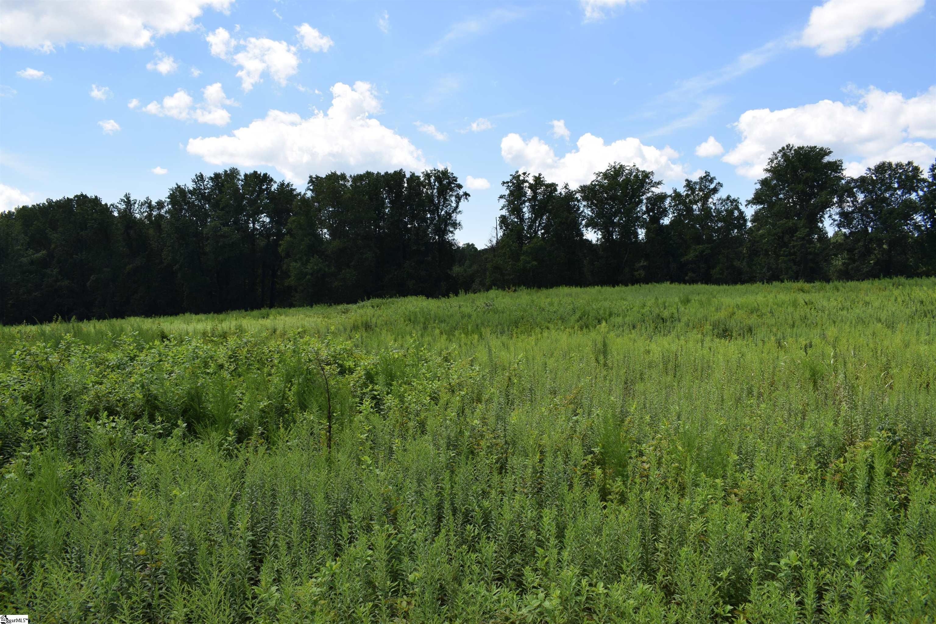 8141 Highway 357 Property Photo 7