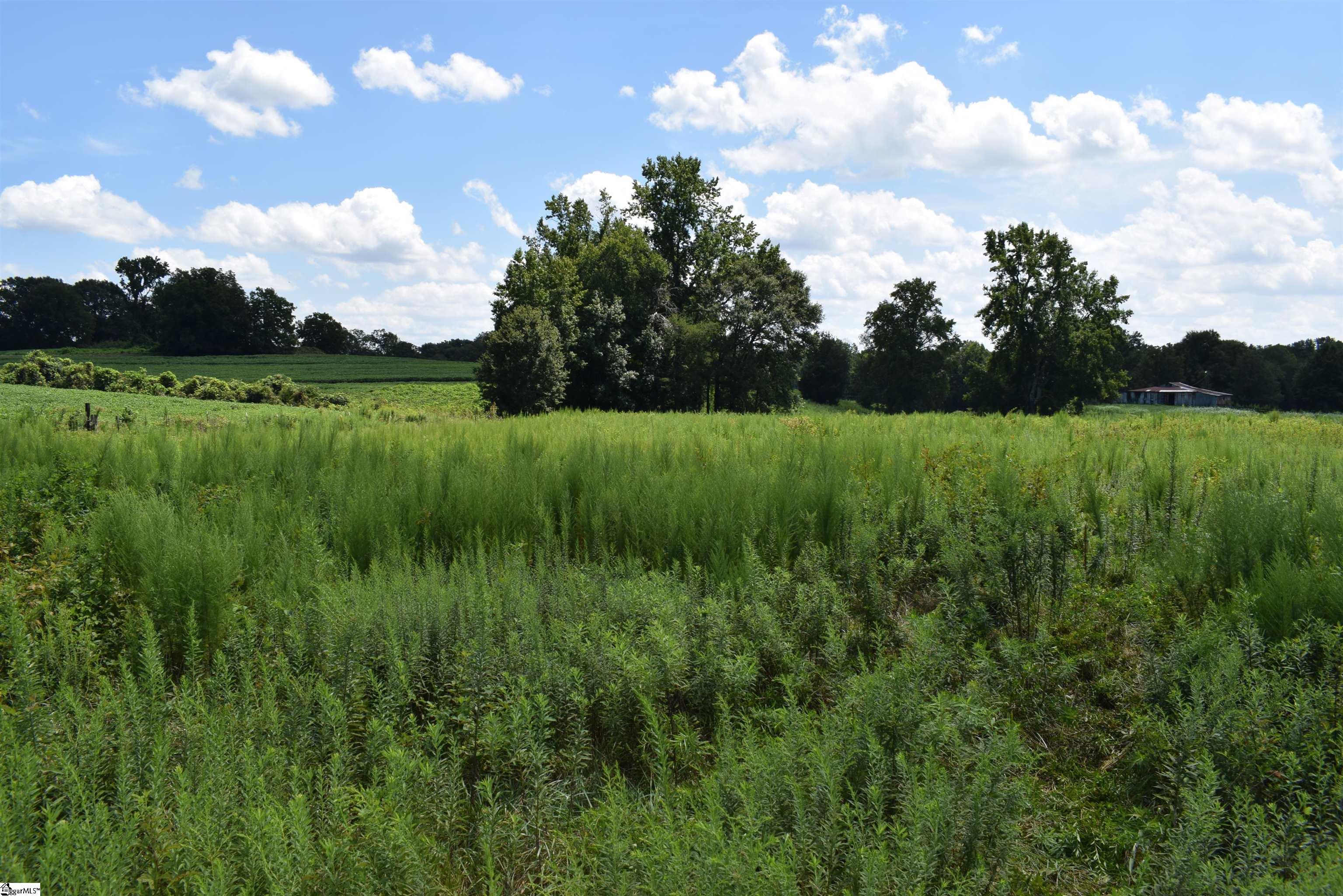 8141 Highway 357 Property Photo 8