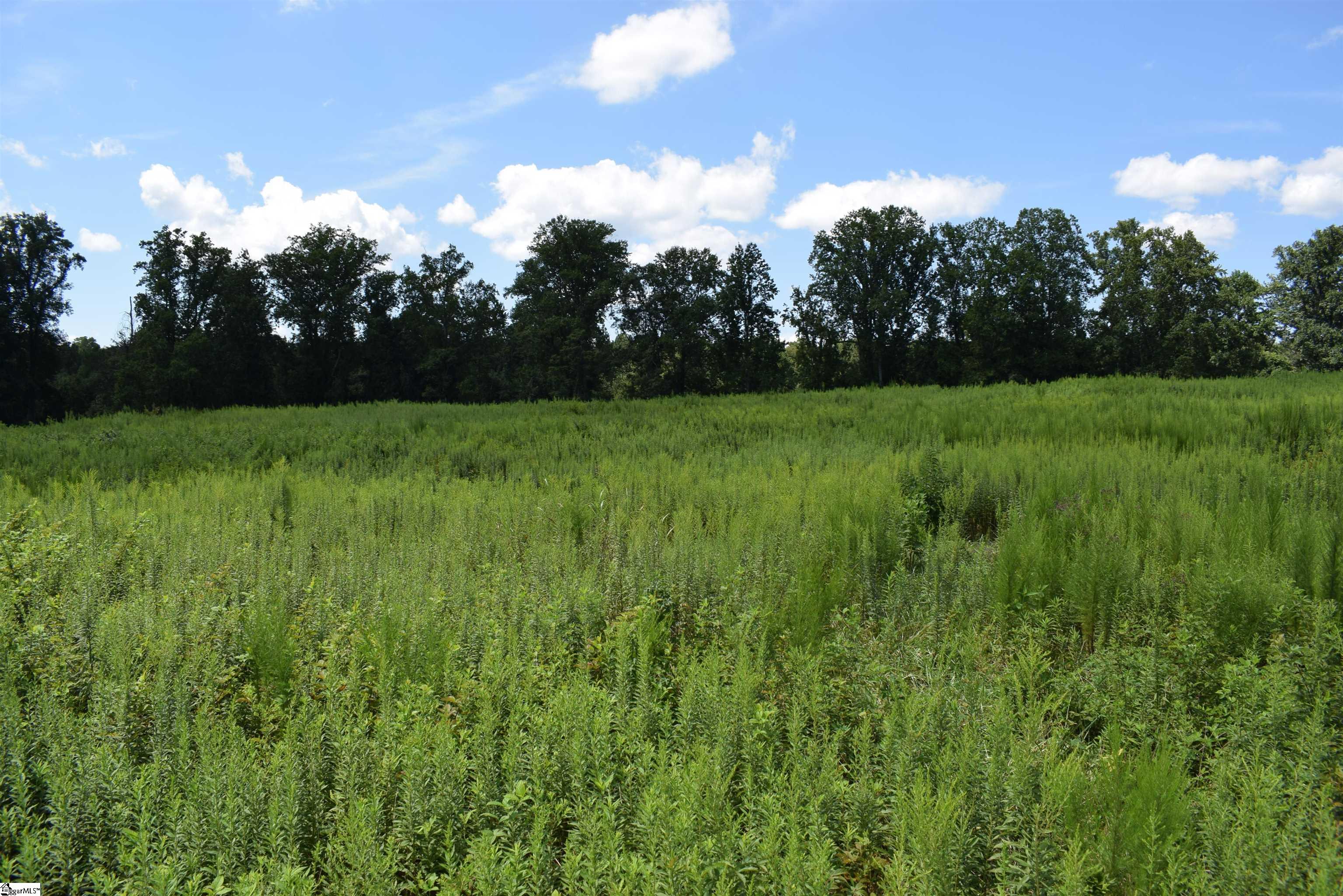 8141 Highway 357 Property Photo 9