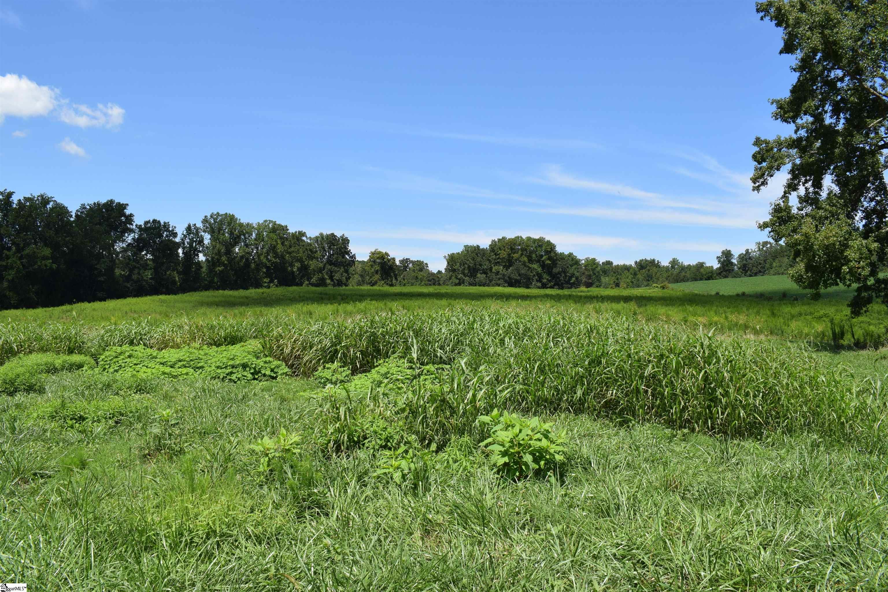 8141 Highway 357 Property Photo 10