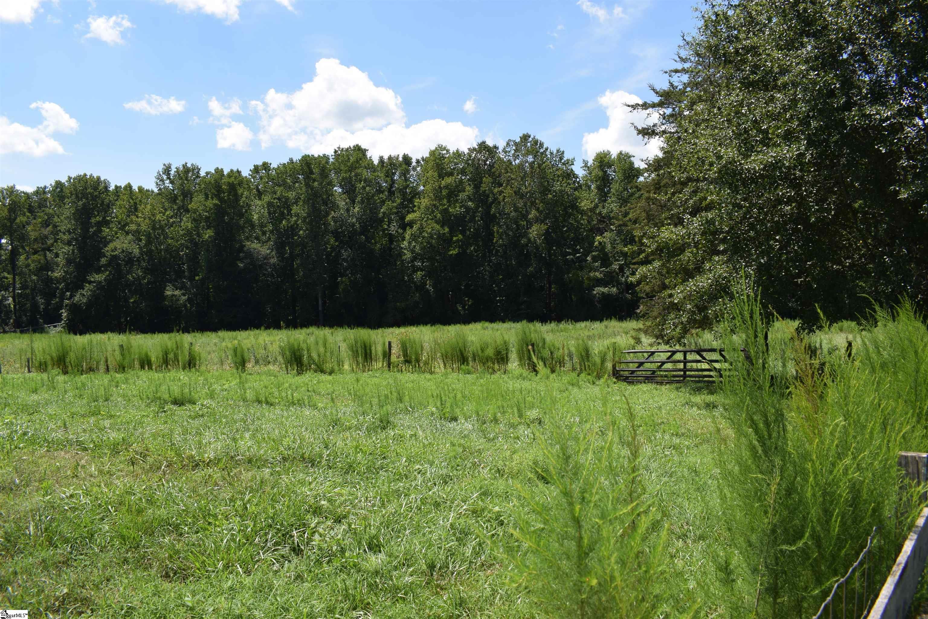 8141 Highway 357 Property Photo 13