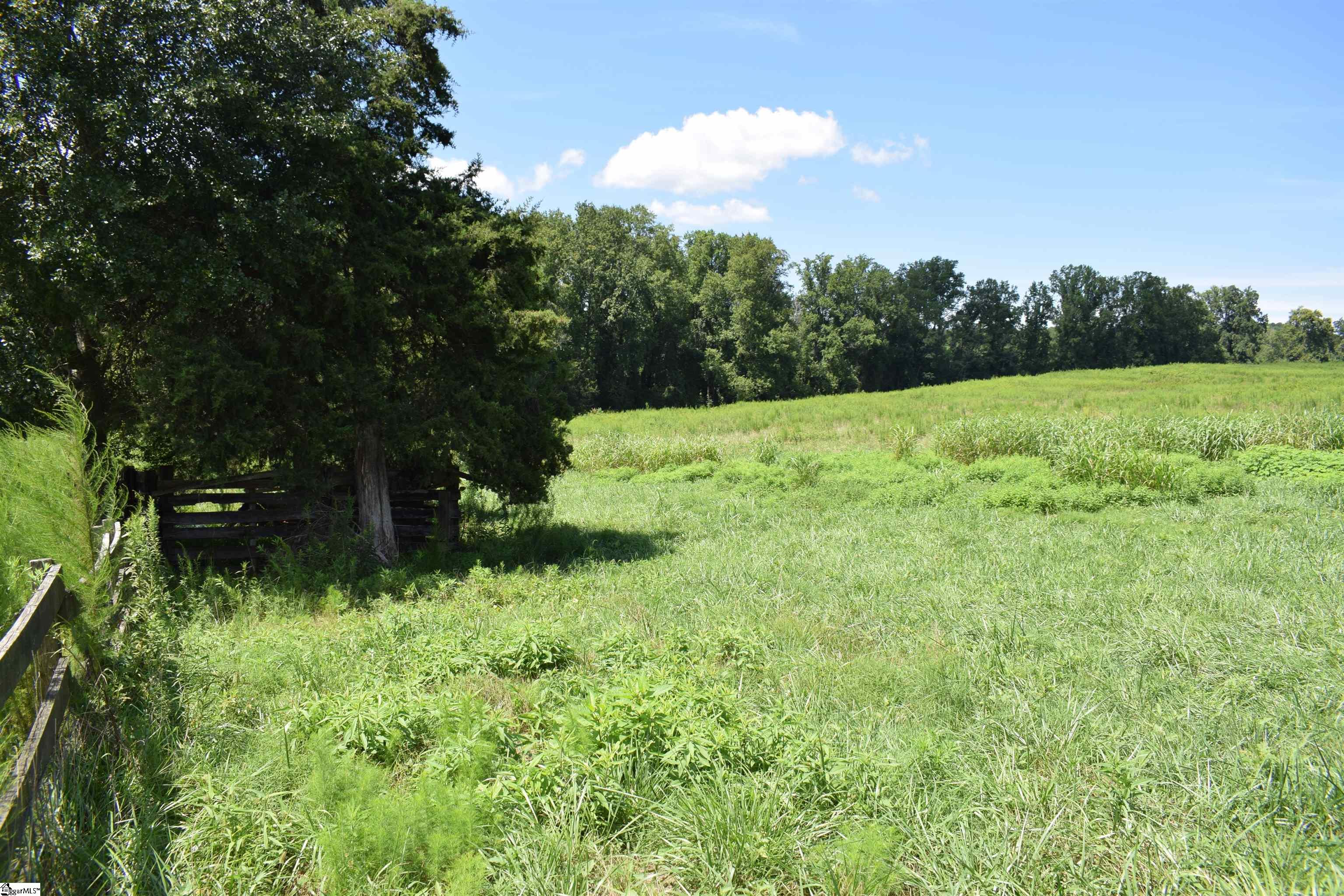 8141 Highway 357 Property Photo 14