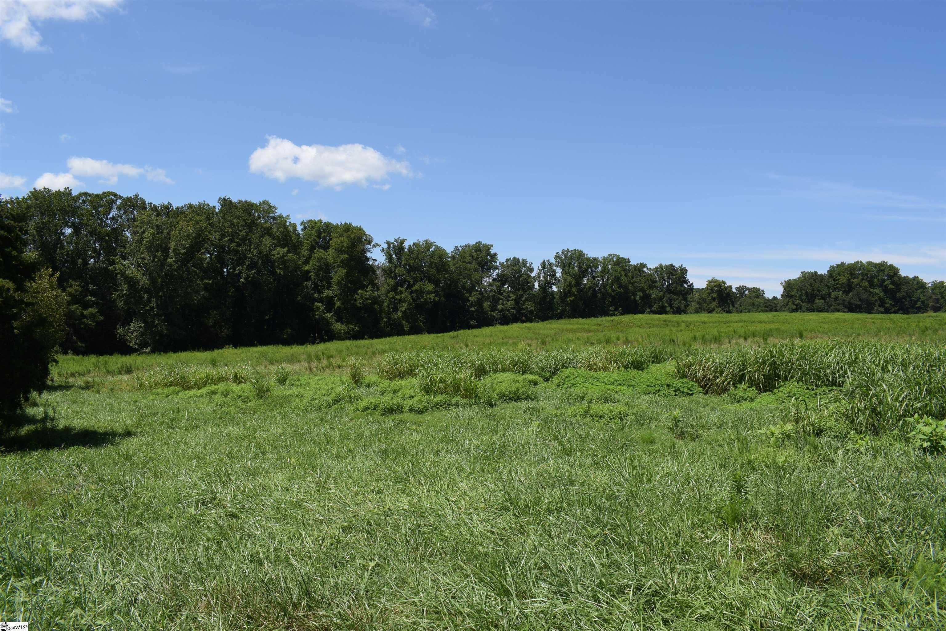 8141 Highway 357 Property Photo 17