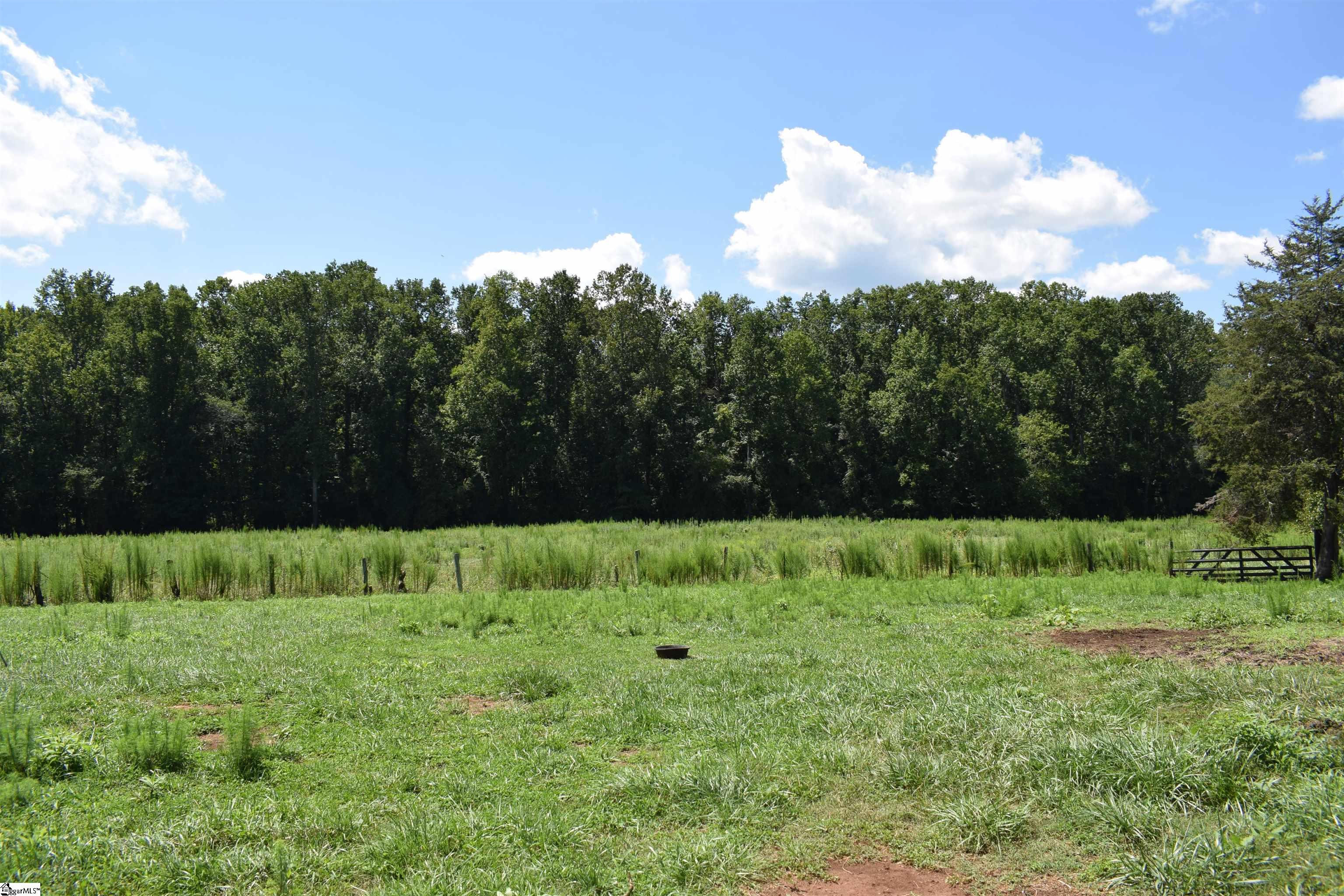 8141 Highway 357 Property Photo 22