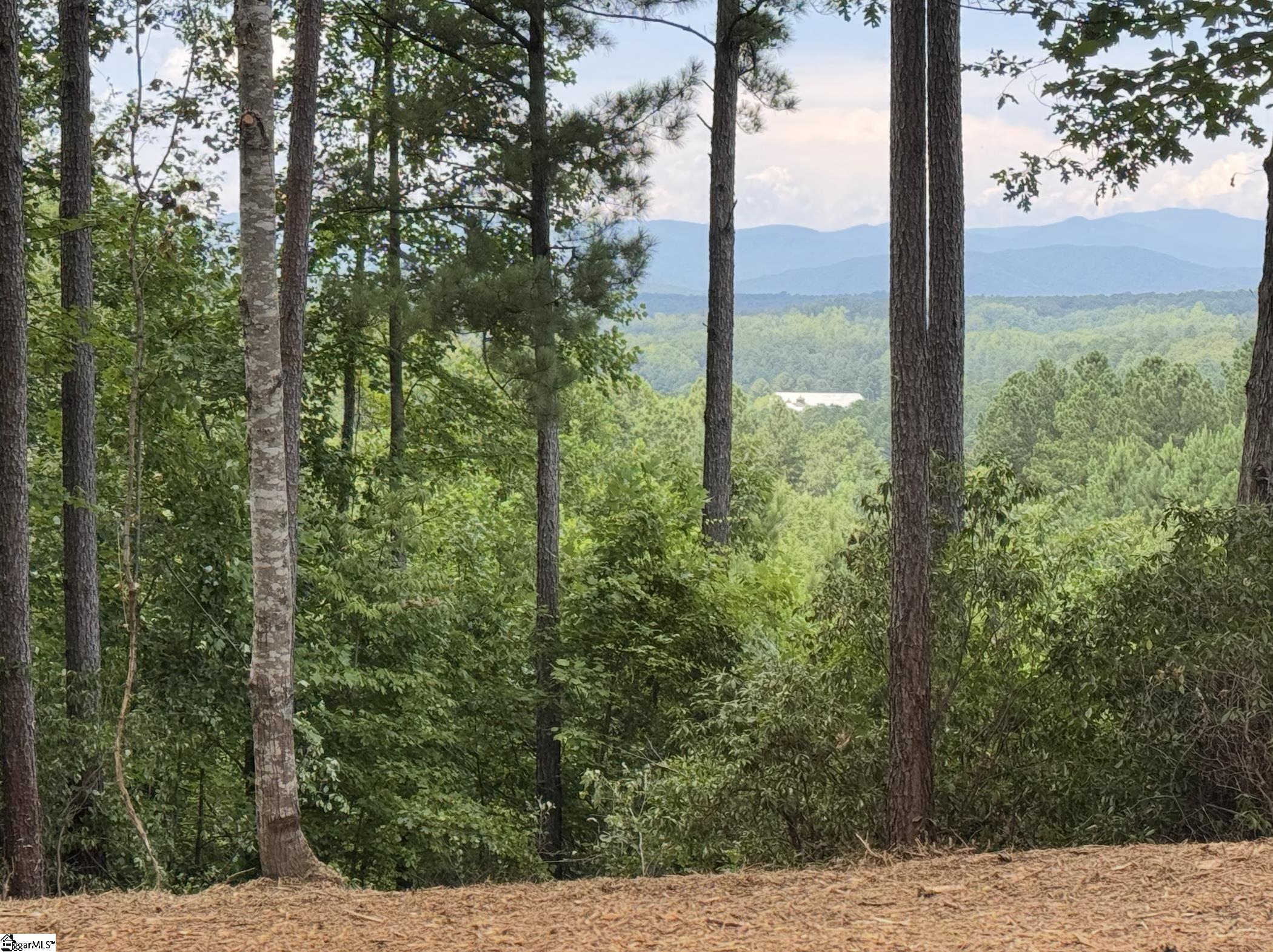 1567787 Property Photo 1