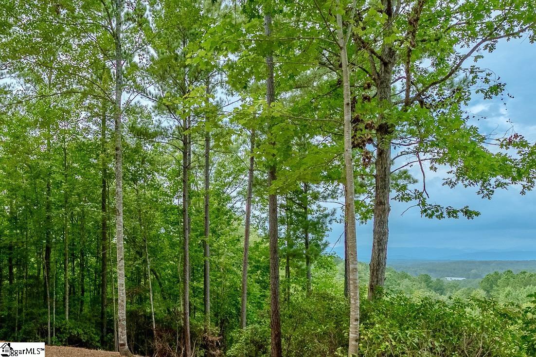 1567787 Property Photo 3