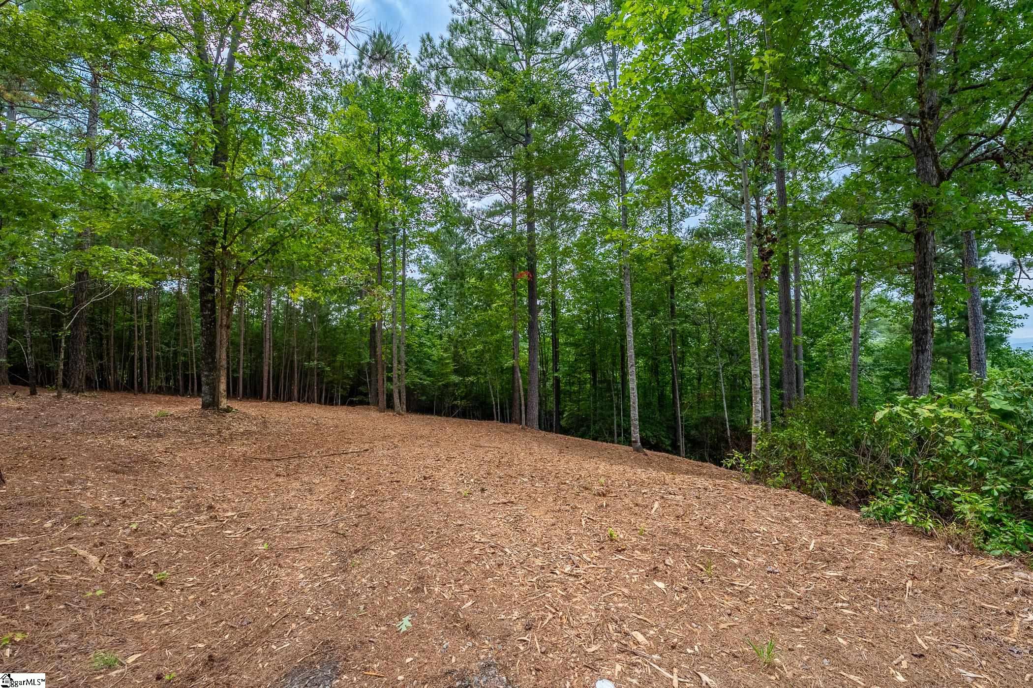 1567787 Property Photo 7