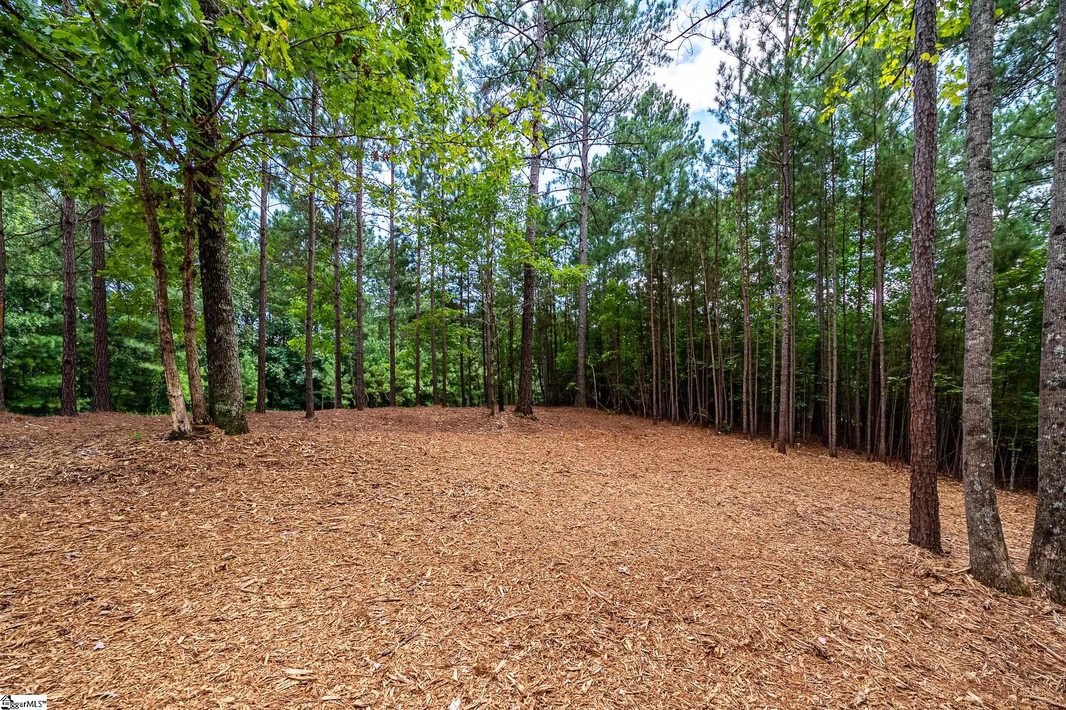 1567787 Property Photo 8