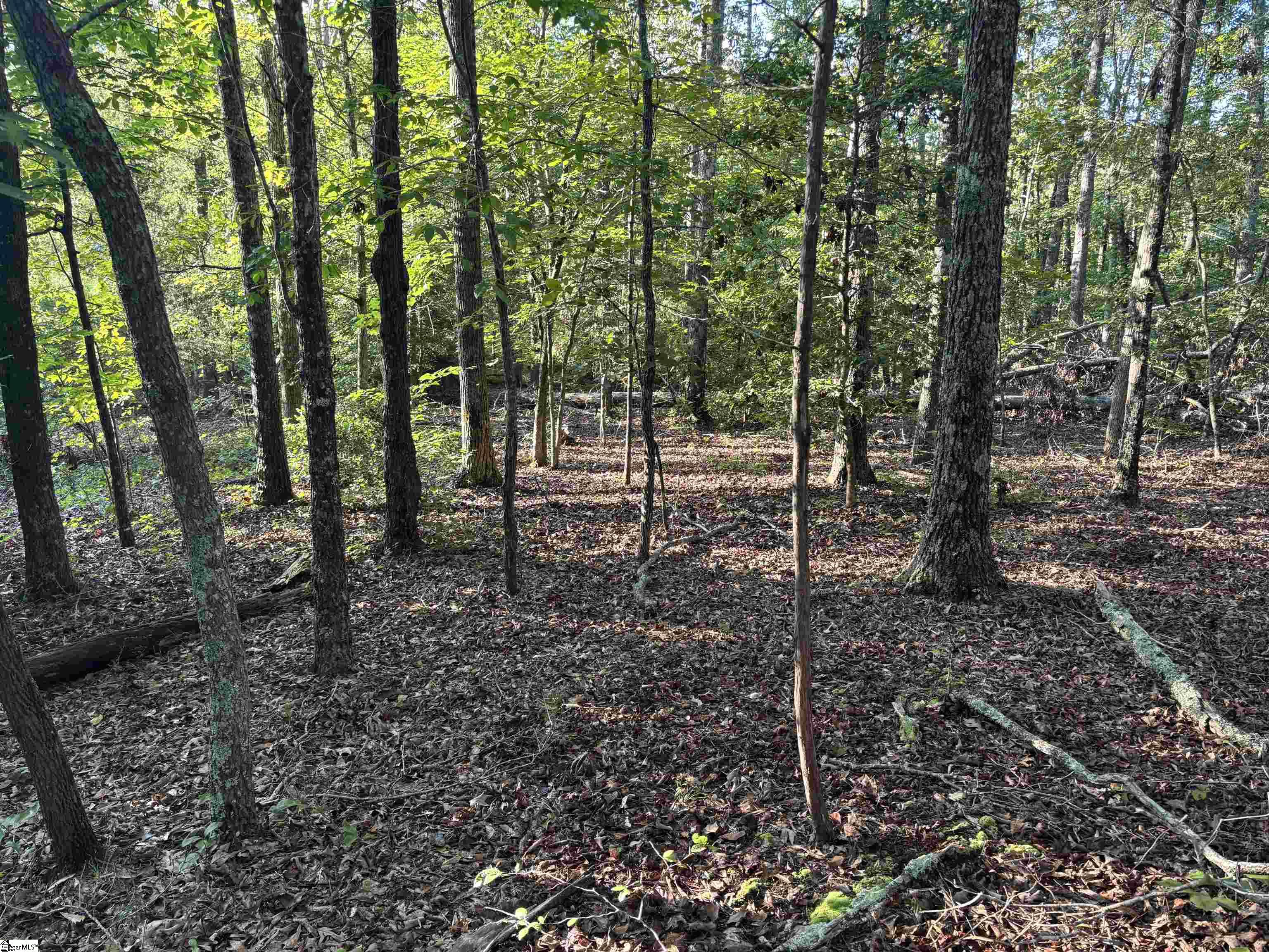 Aeronca Road Property Photo 4