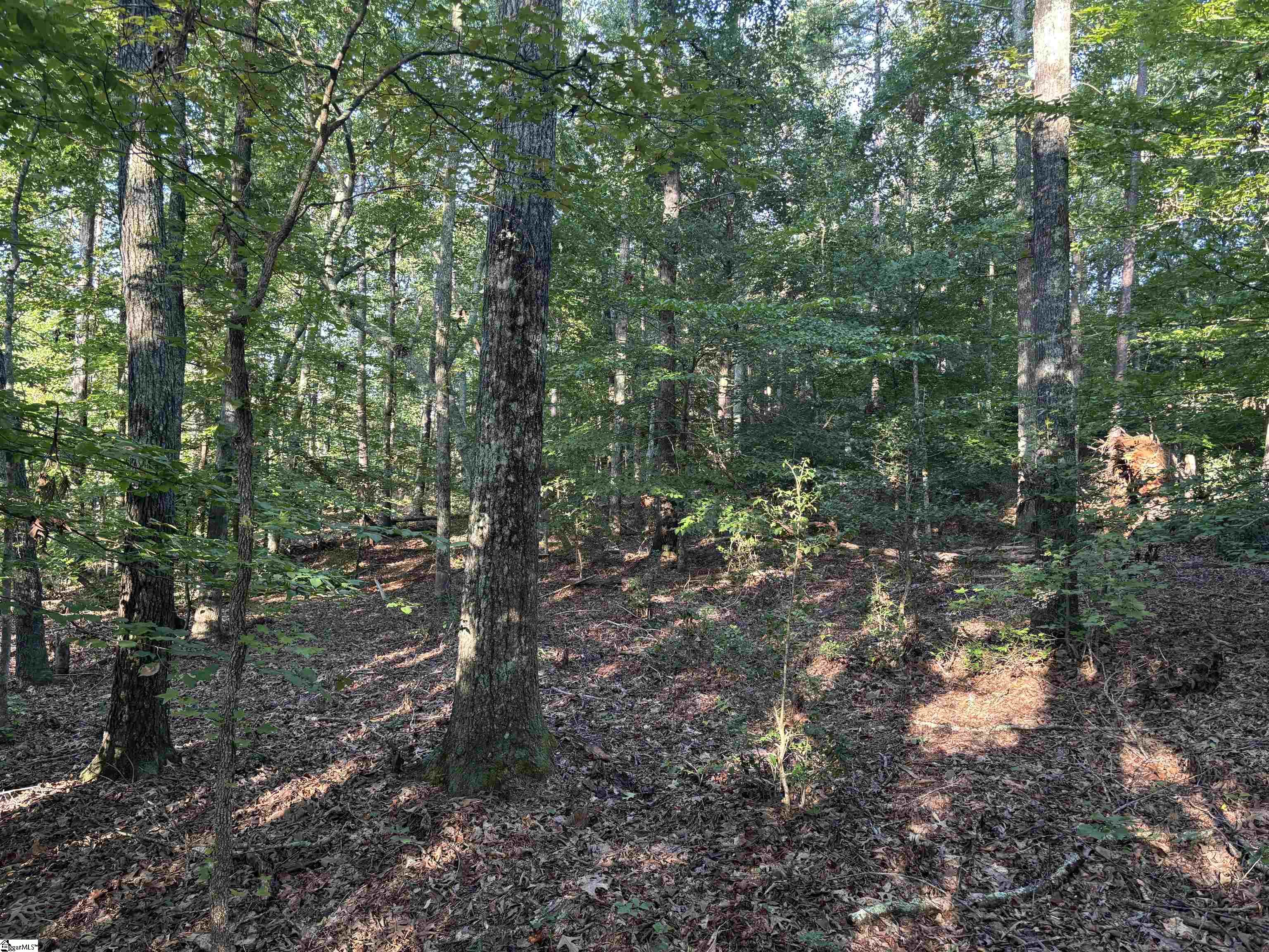 Aeronca Road Property Photo 5