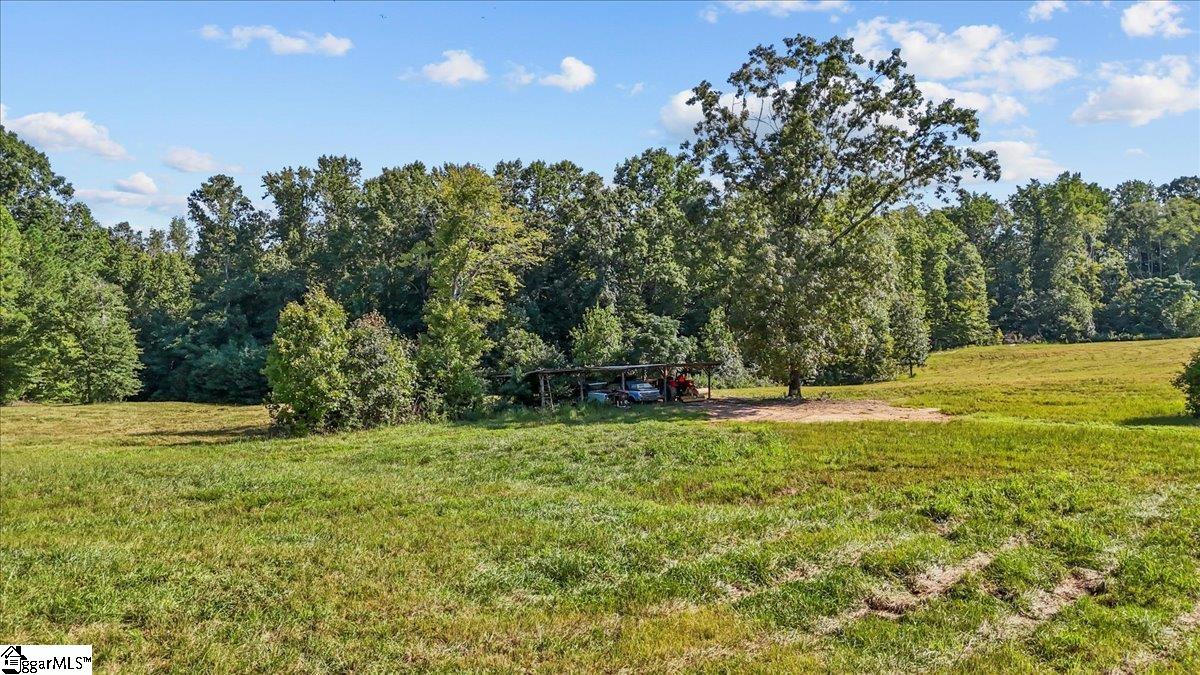 1443 Henderson Road Property Photo 6