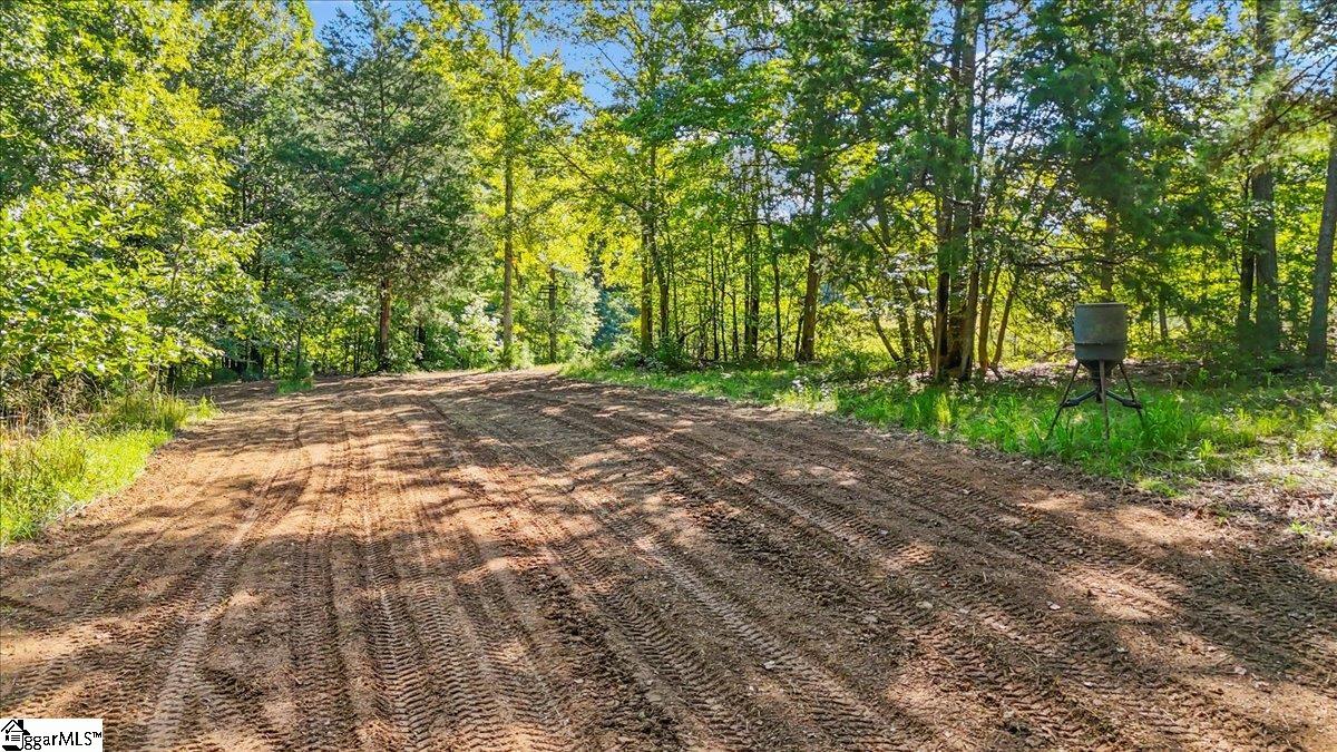 1443 Henderson Road Property Photo 14