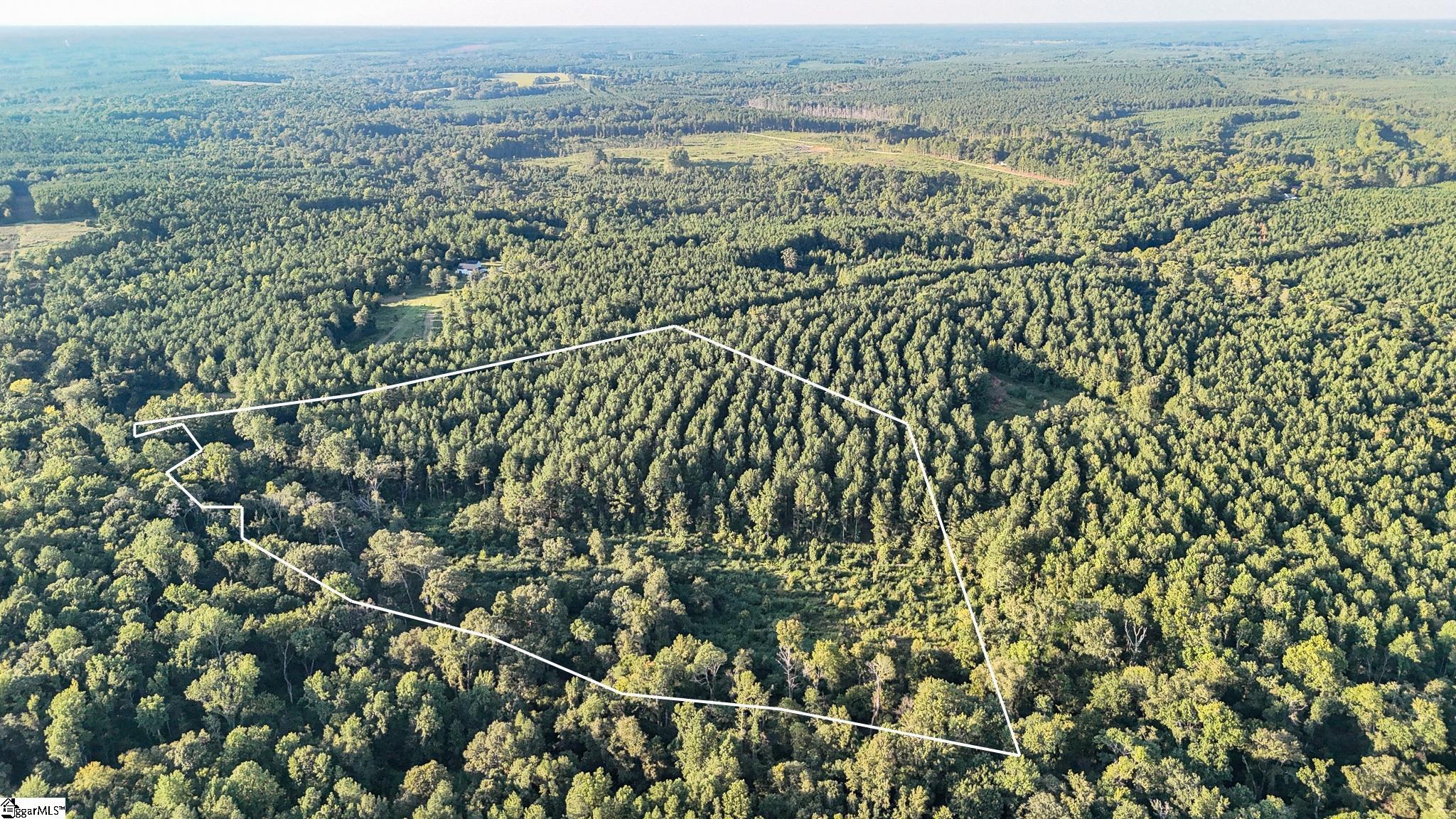 01 Jefferson Davis Road Property Photo 1