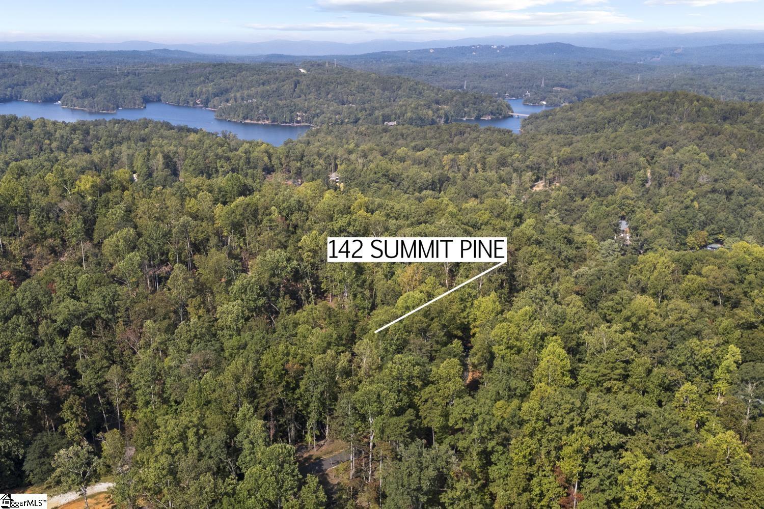 142 Summit Pine Property Photo 2