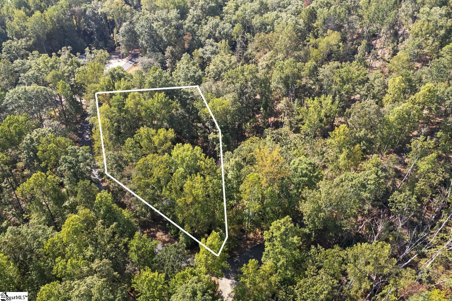 142 Summit Pine Property Photo 3