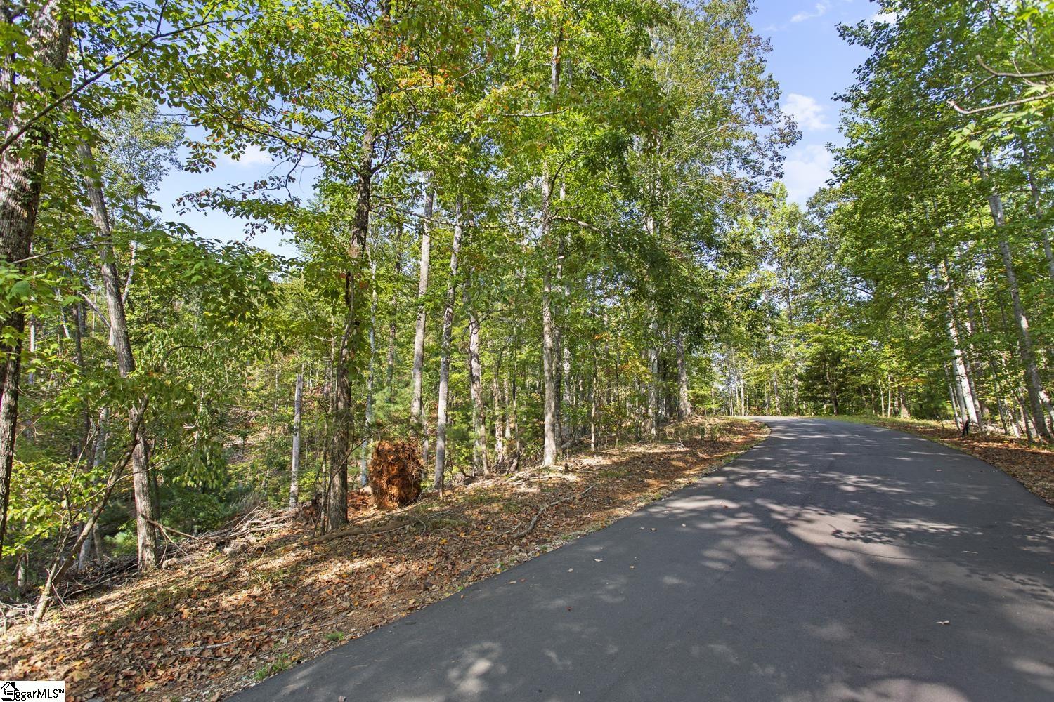 142 Summit Pine Property Photo 4