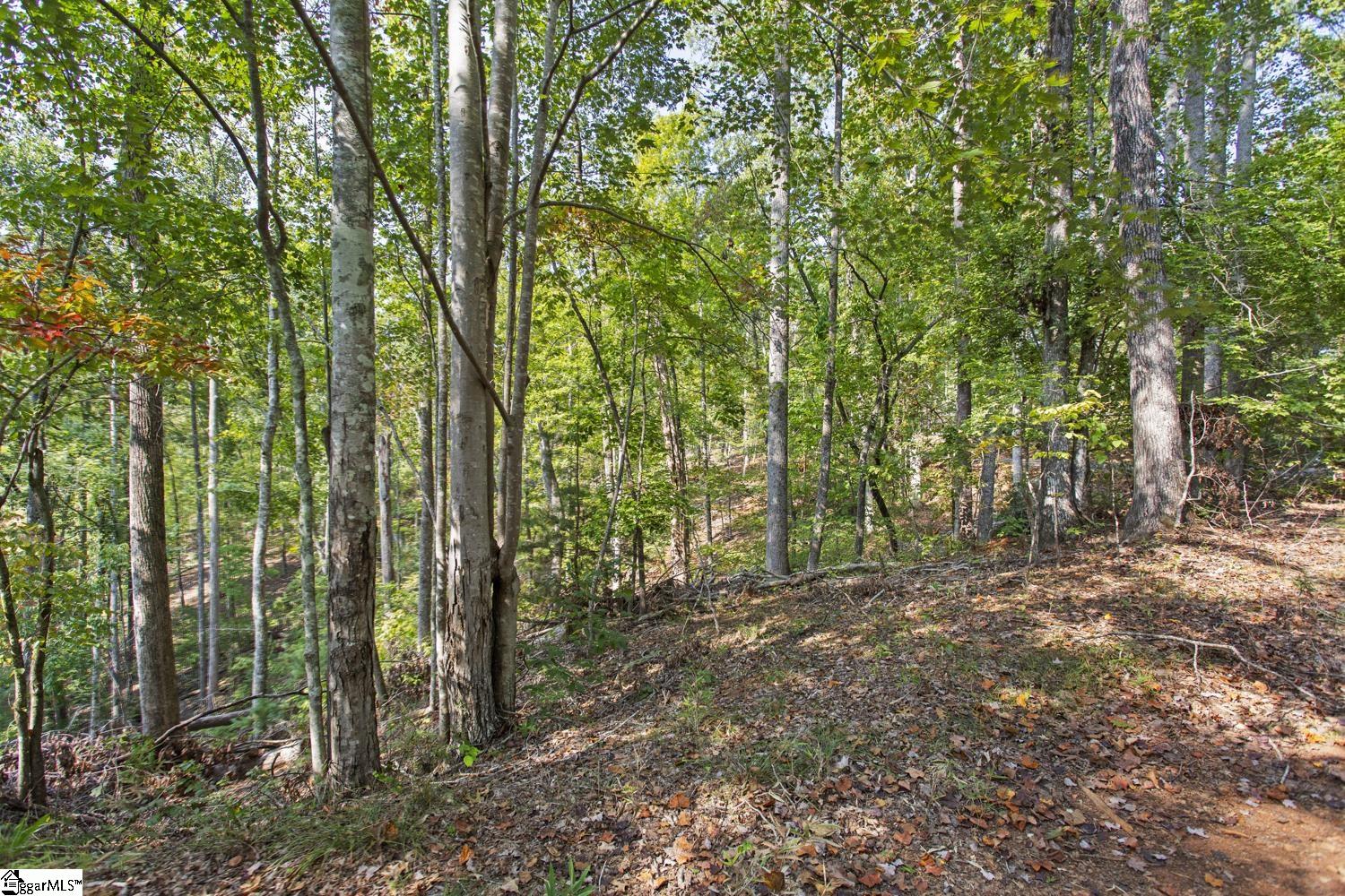 142 Summit Pine Property Photo 6