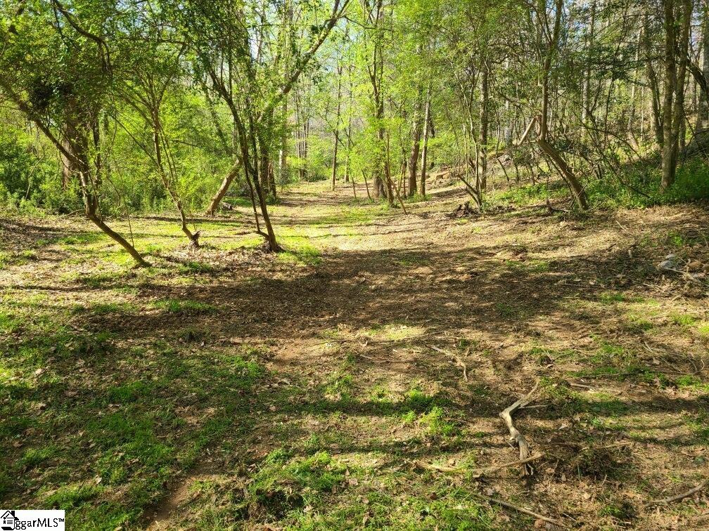 10938 Reidville Road Property Photo 47