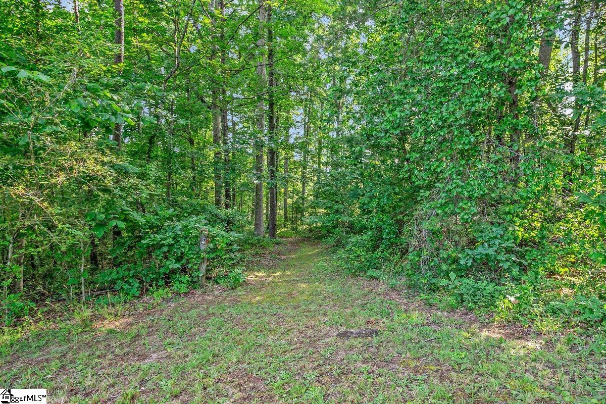 1733 Tigerville Road Property Photo 26