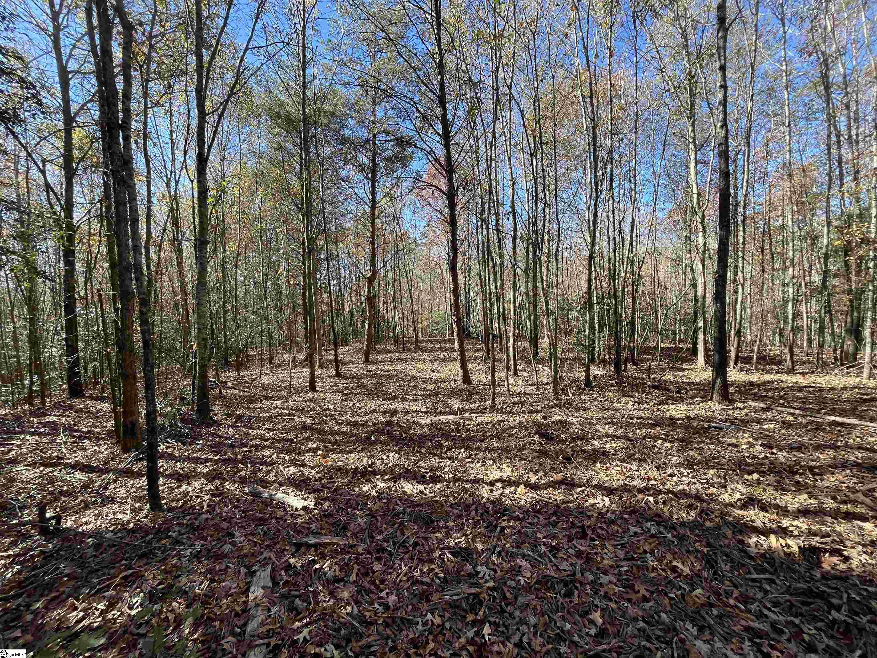 Old Dunham Bridge Road Property Photo 4
