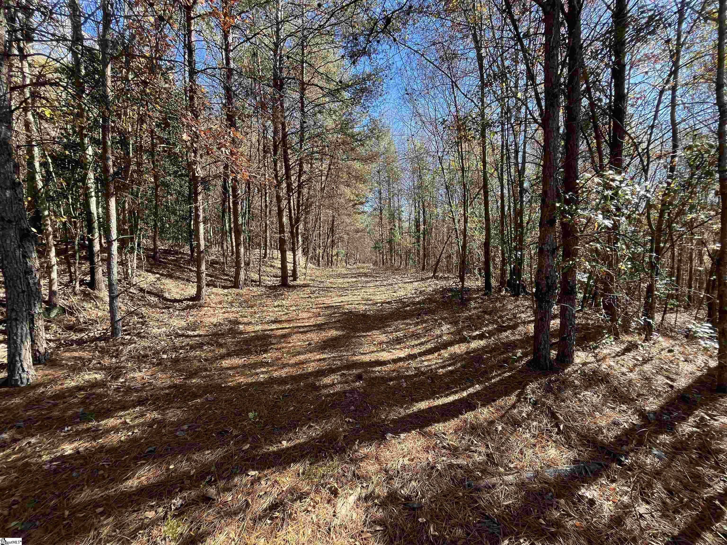 Old Dunham Bridge Road Property Photo 5