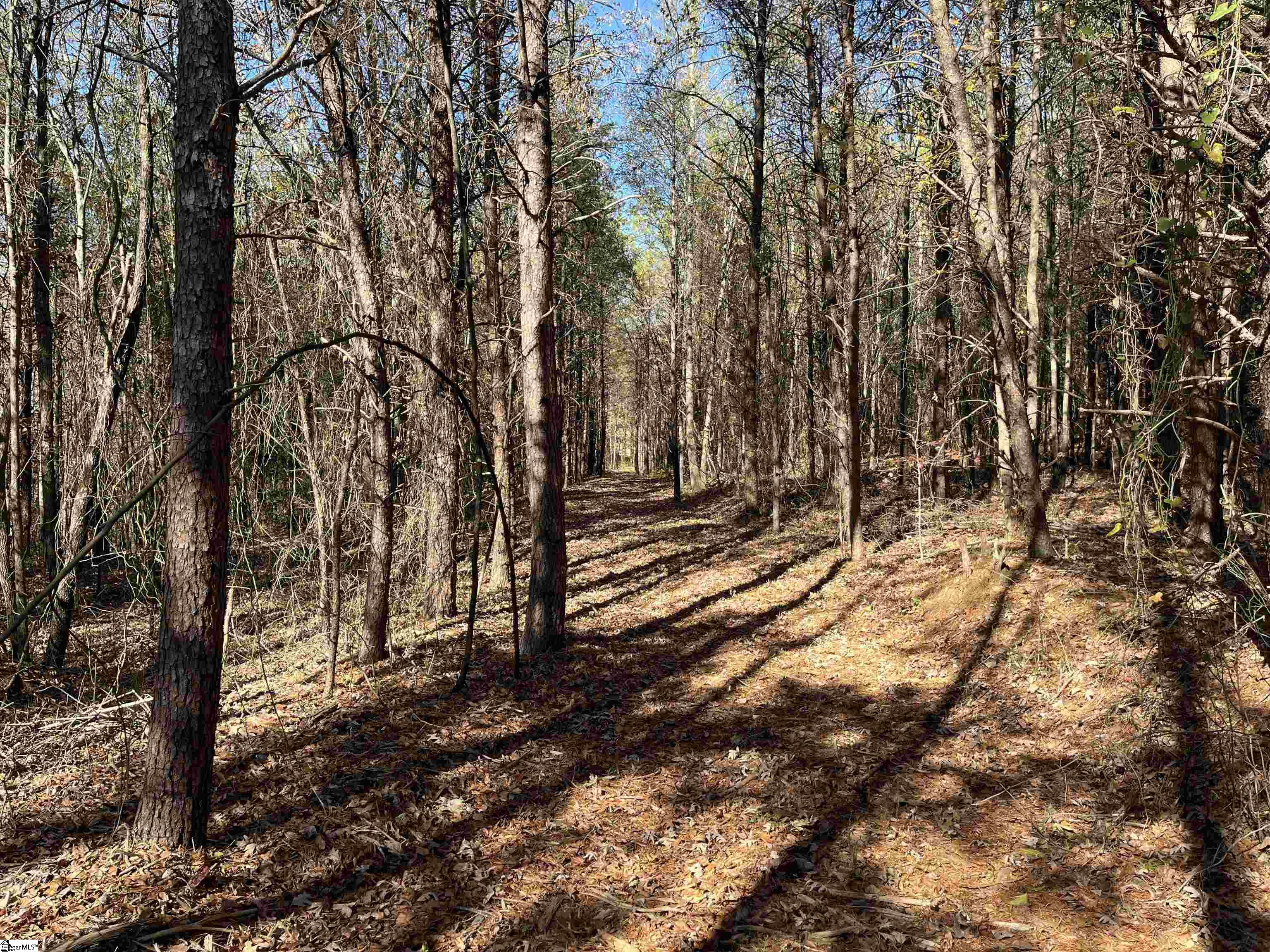 Old Dunham Bridge Road Property Photo 7