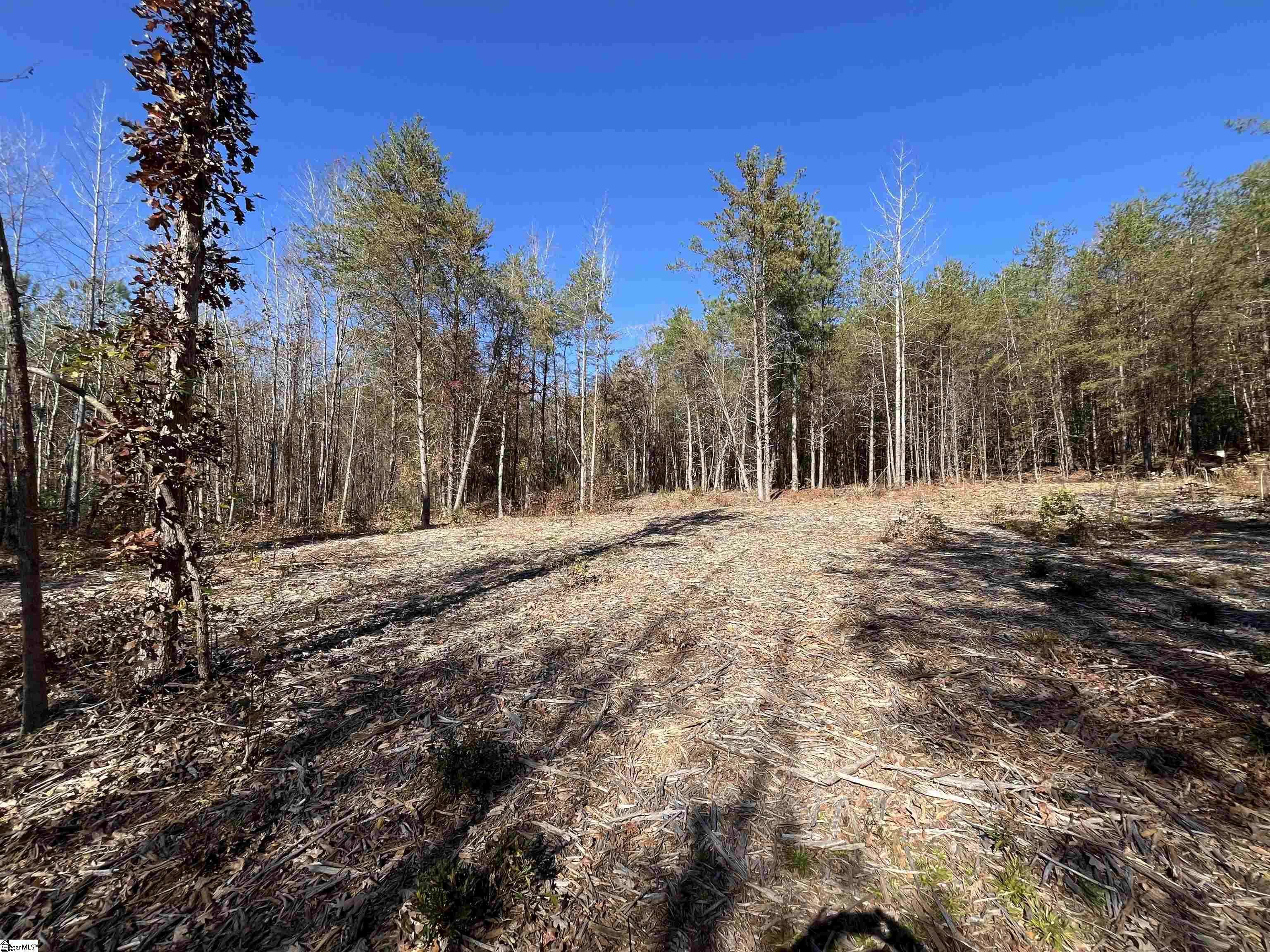 Old Dunham Bridge Road Property Photo 8
